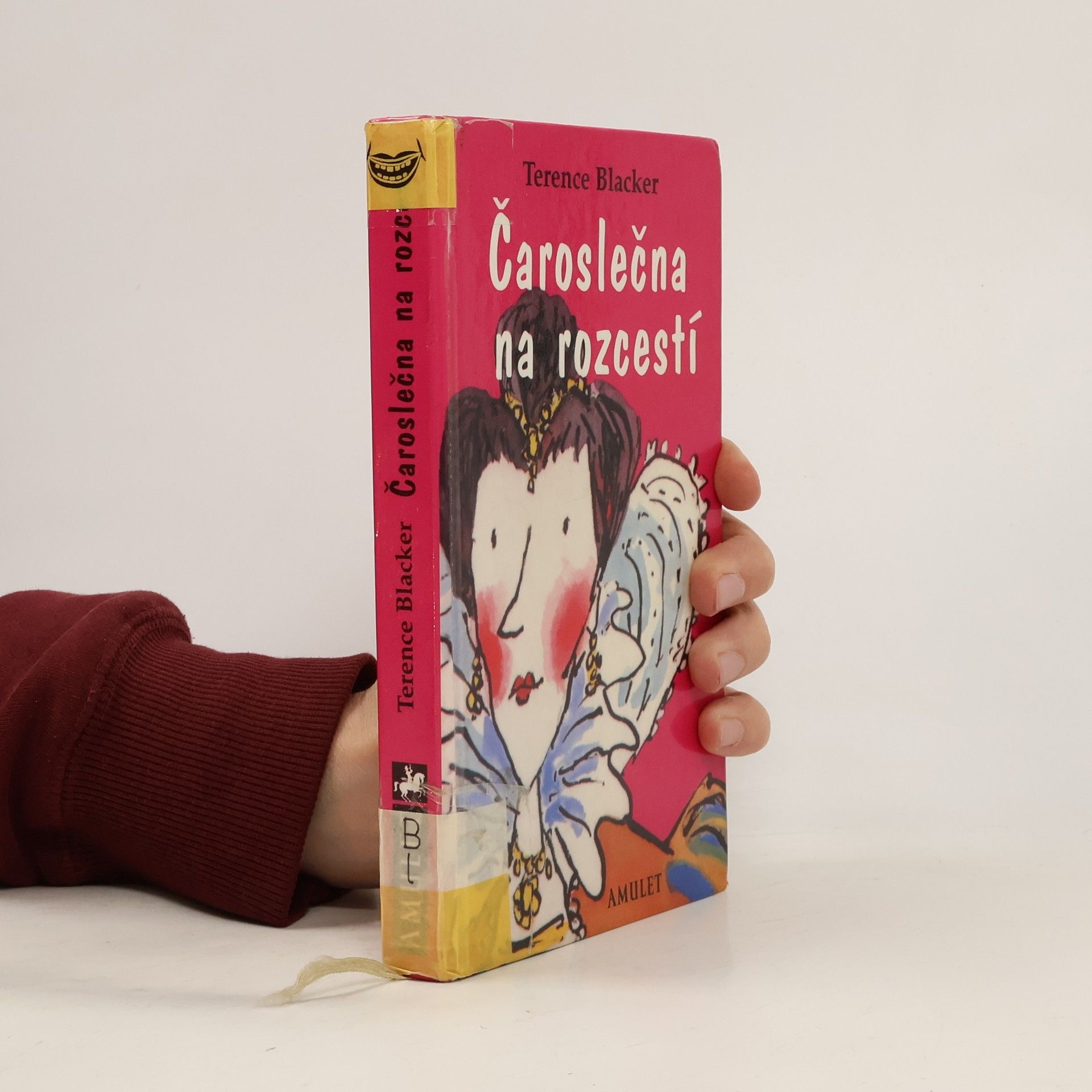 Terence Blacker Čaroslečna na rozcestí
