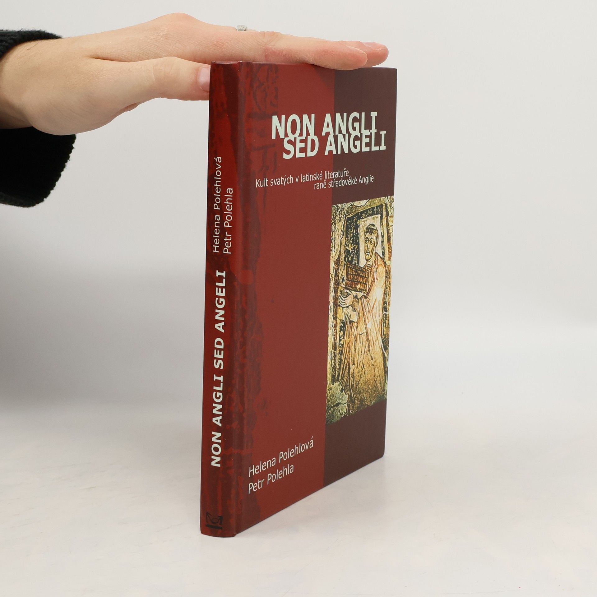 Petr Polehla Non Angli sed Angeli