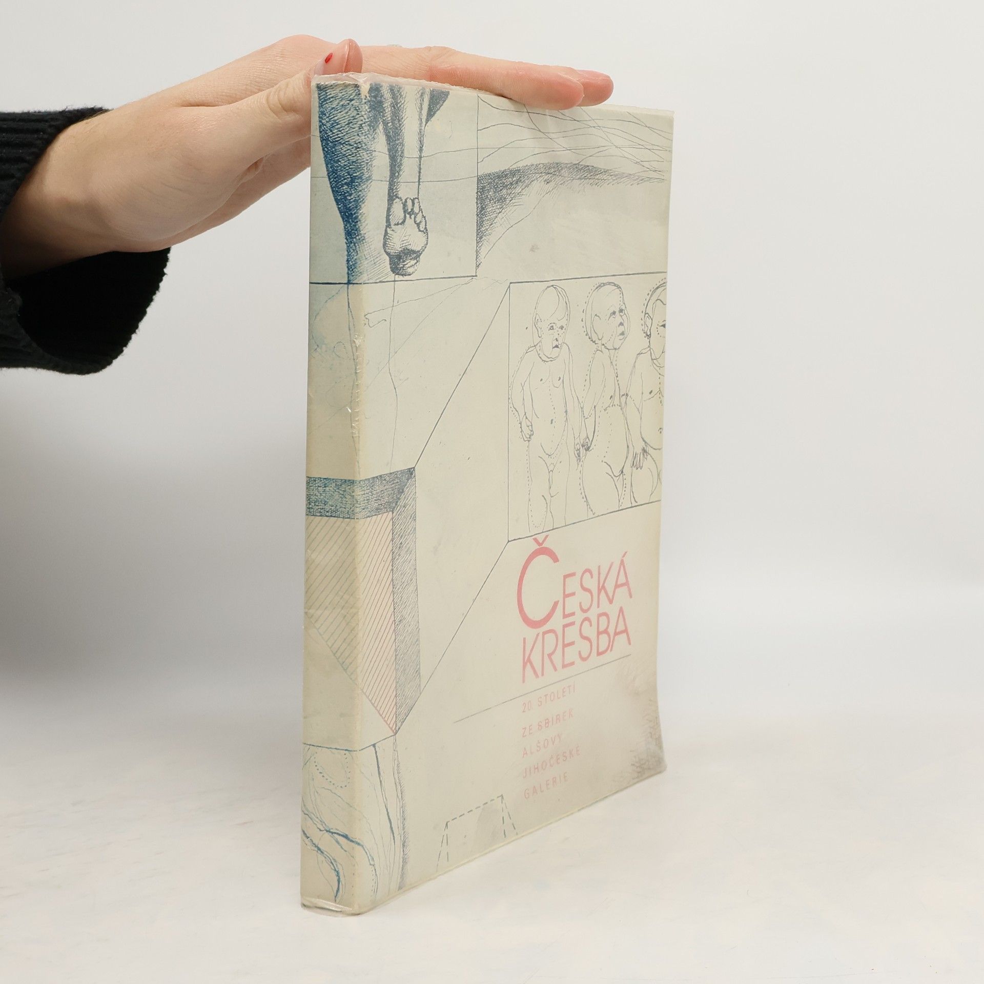 Kolektiv autorů Česká kresba 20. století. Ze sbírek Alšovy jihočeské galerie