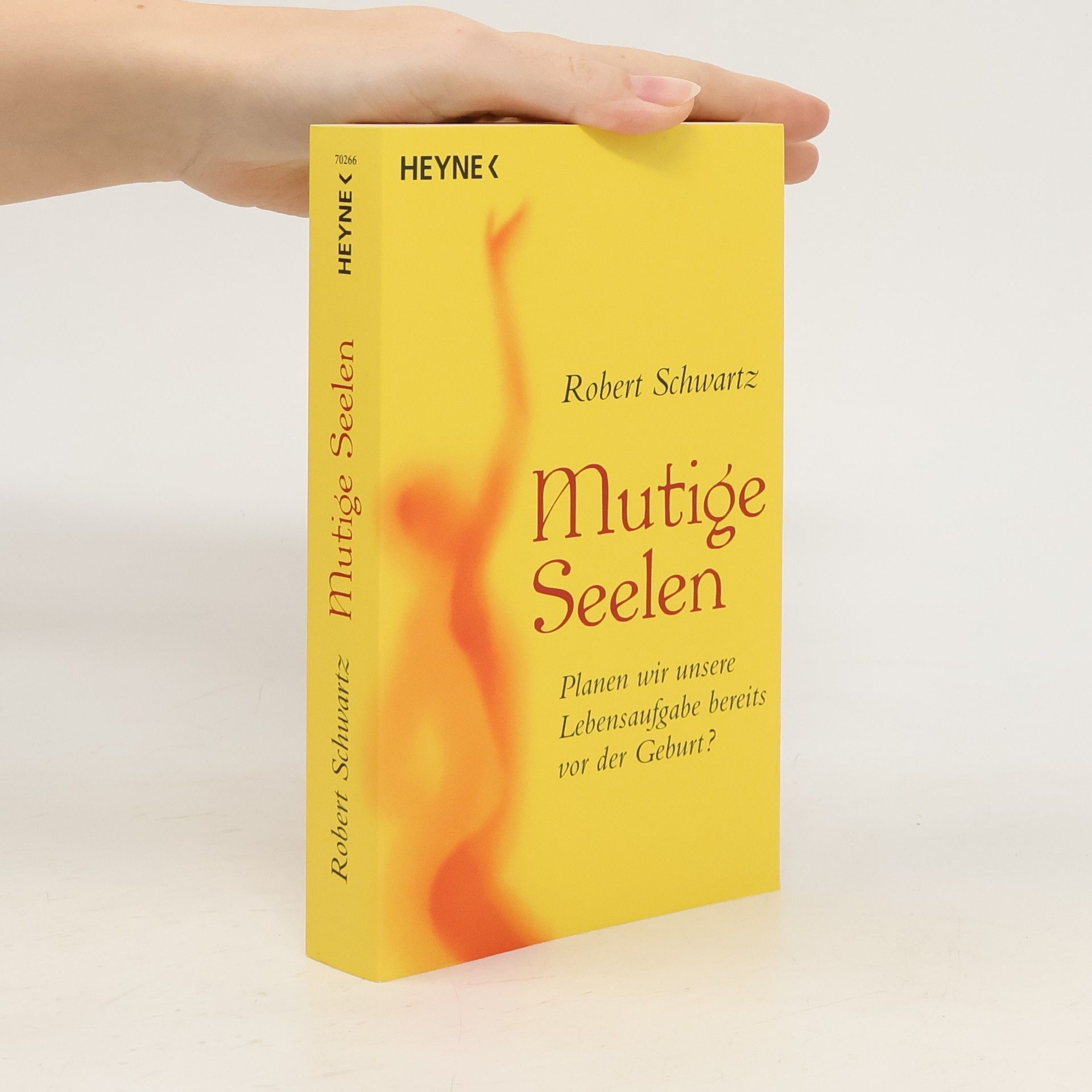 Robert Schwartz Mutige Seelen