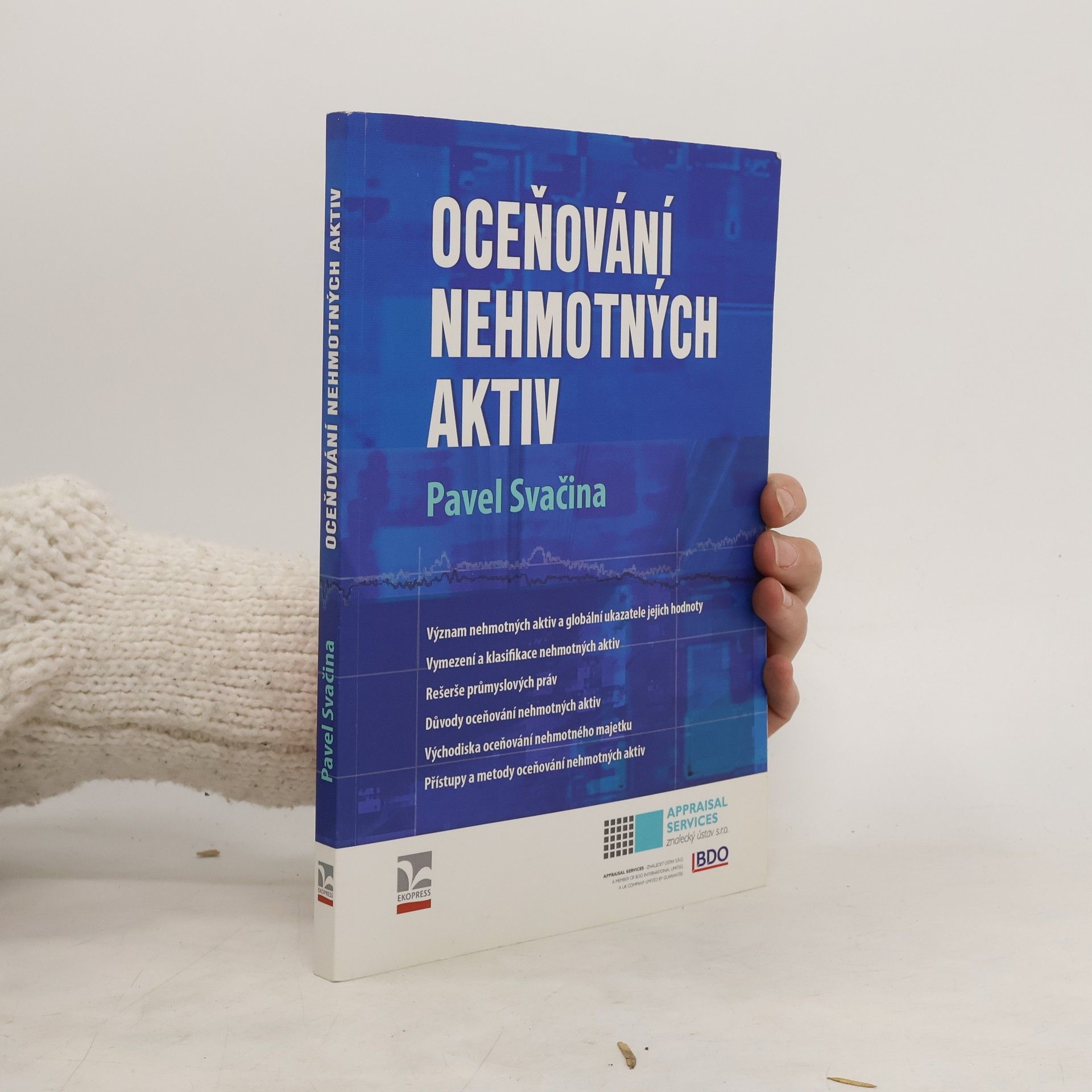 Pavel Svačina Oceňování nehmotných aktiv