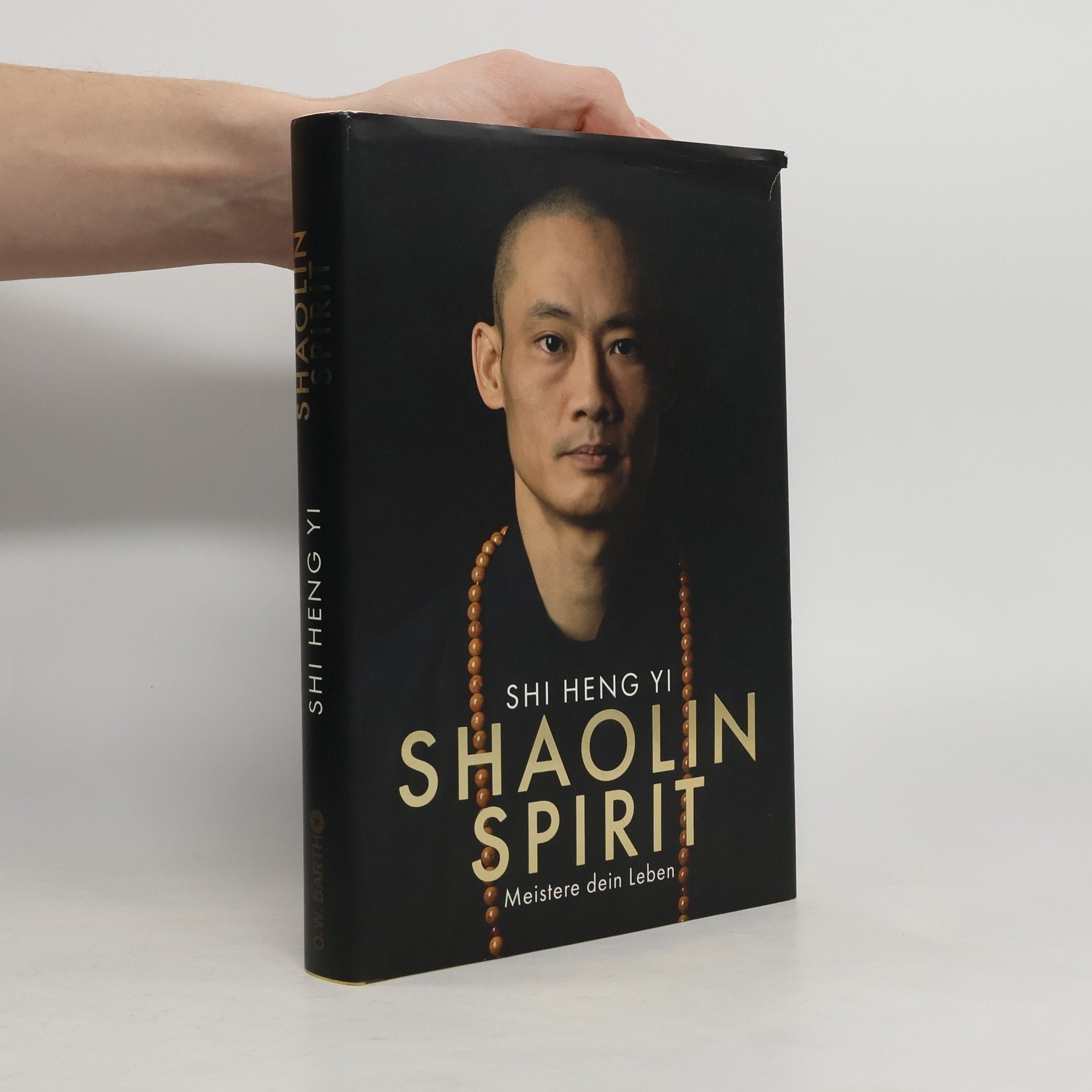 Shi Heng Shi Heng Yi Shaolin Spirit
