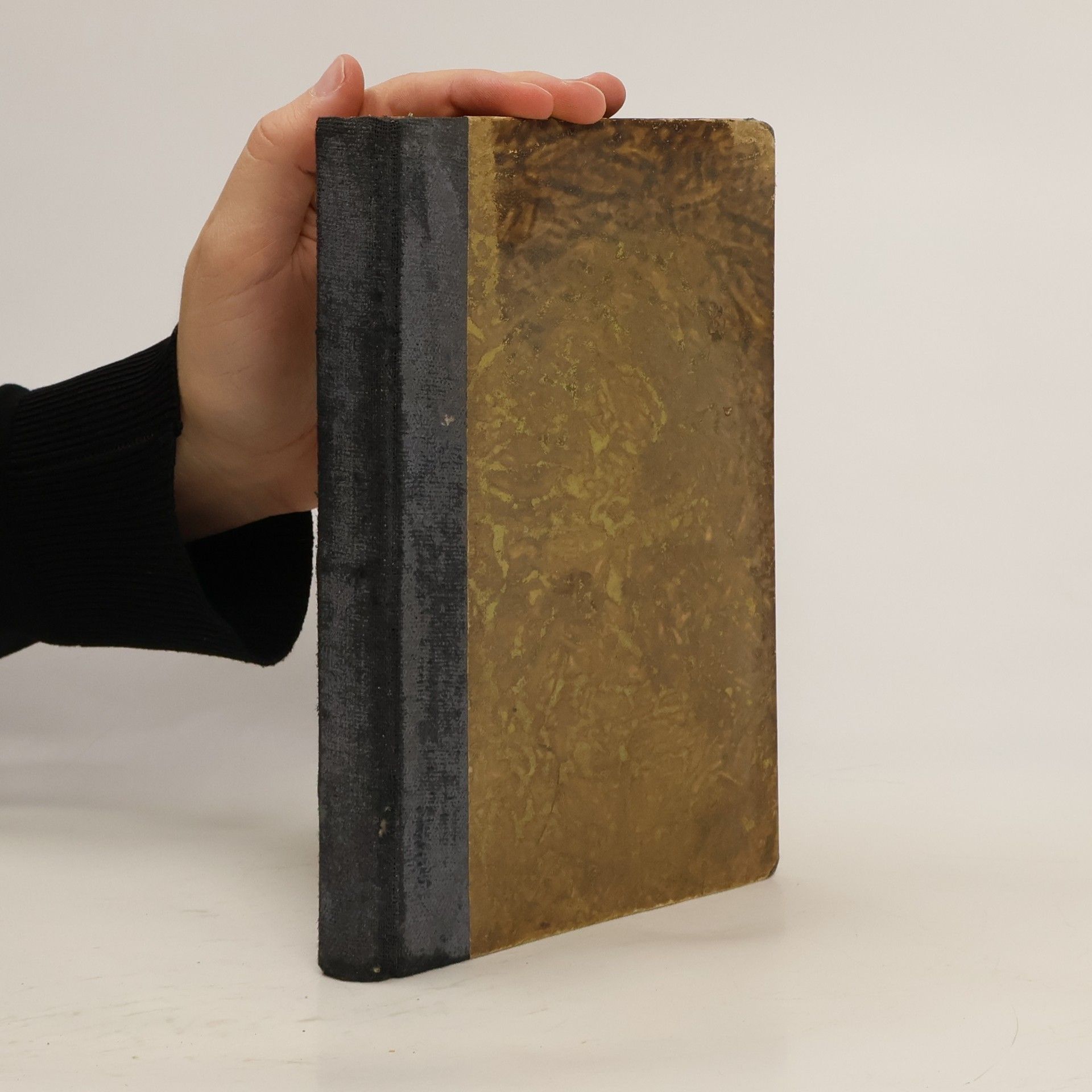 Mihail Sadoveanu Tři jezdci