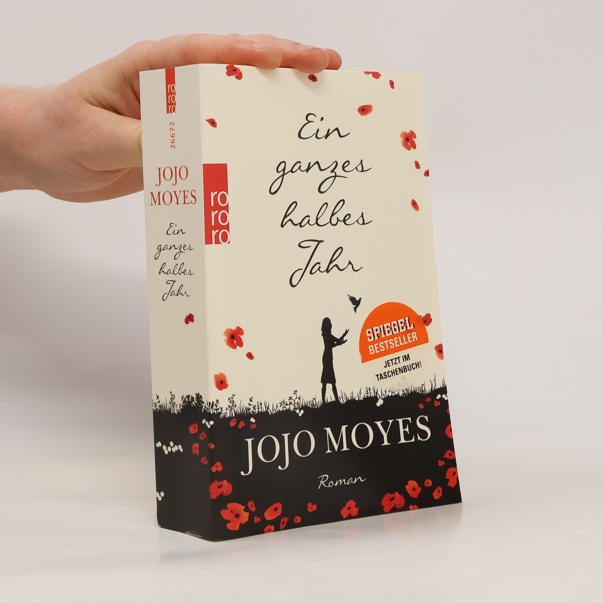 Ein ganzes halbes Jahr