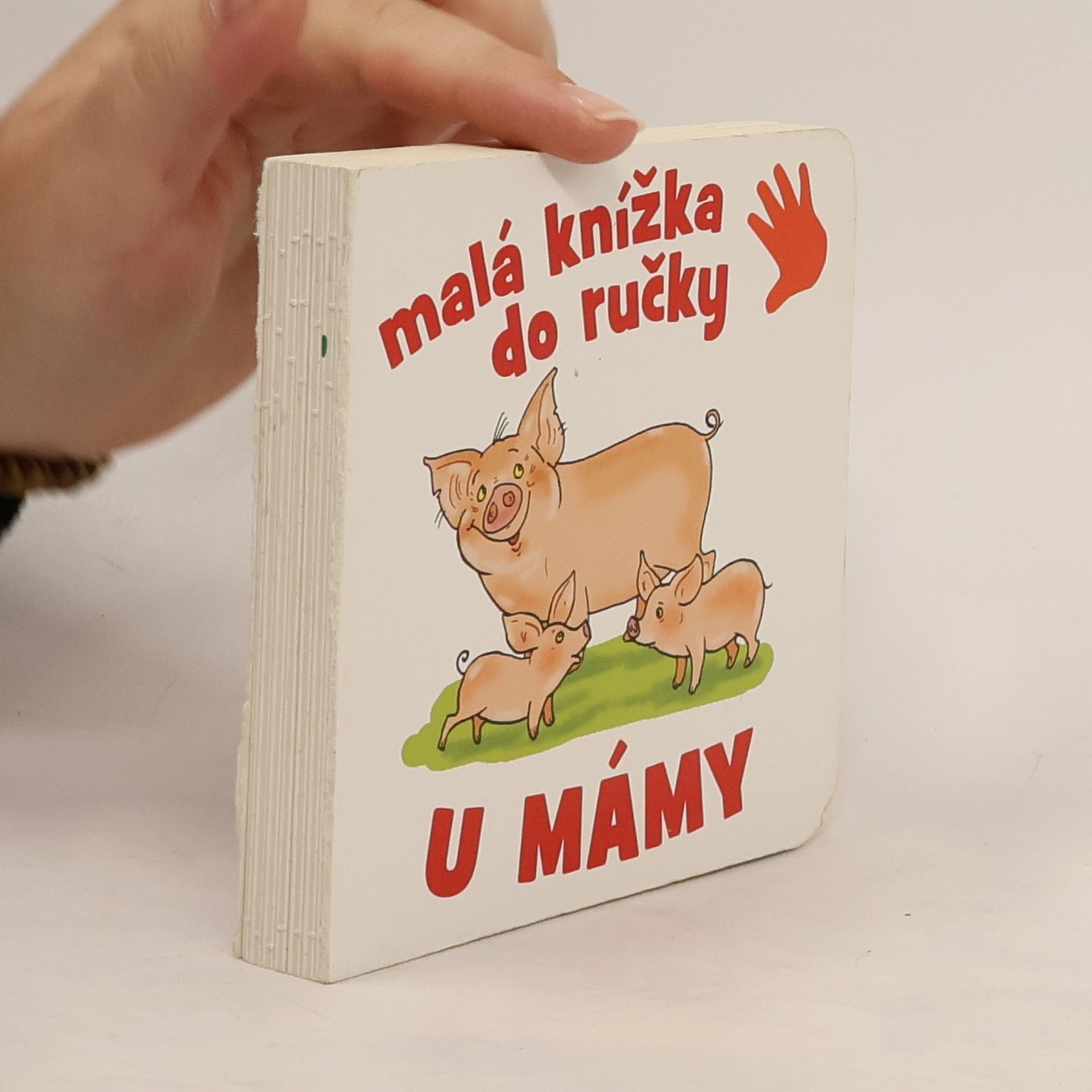 Collectif d'auteurs Malá knížka do ručky