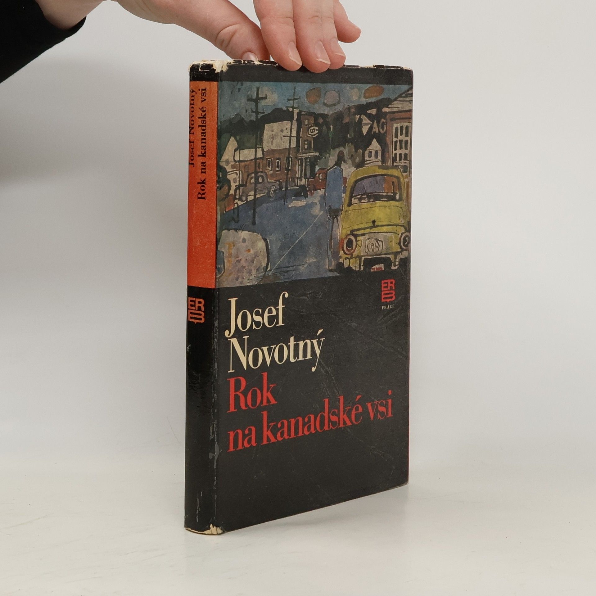 Rok na kanadské vsi