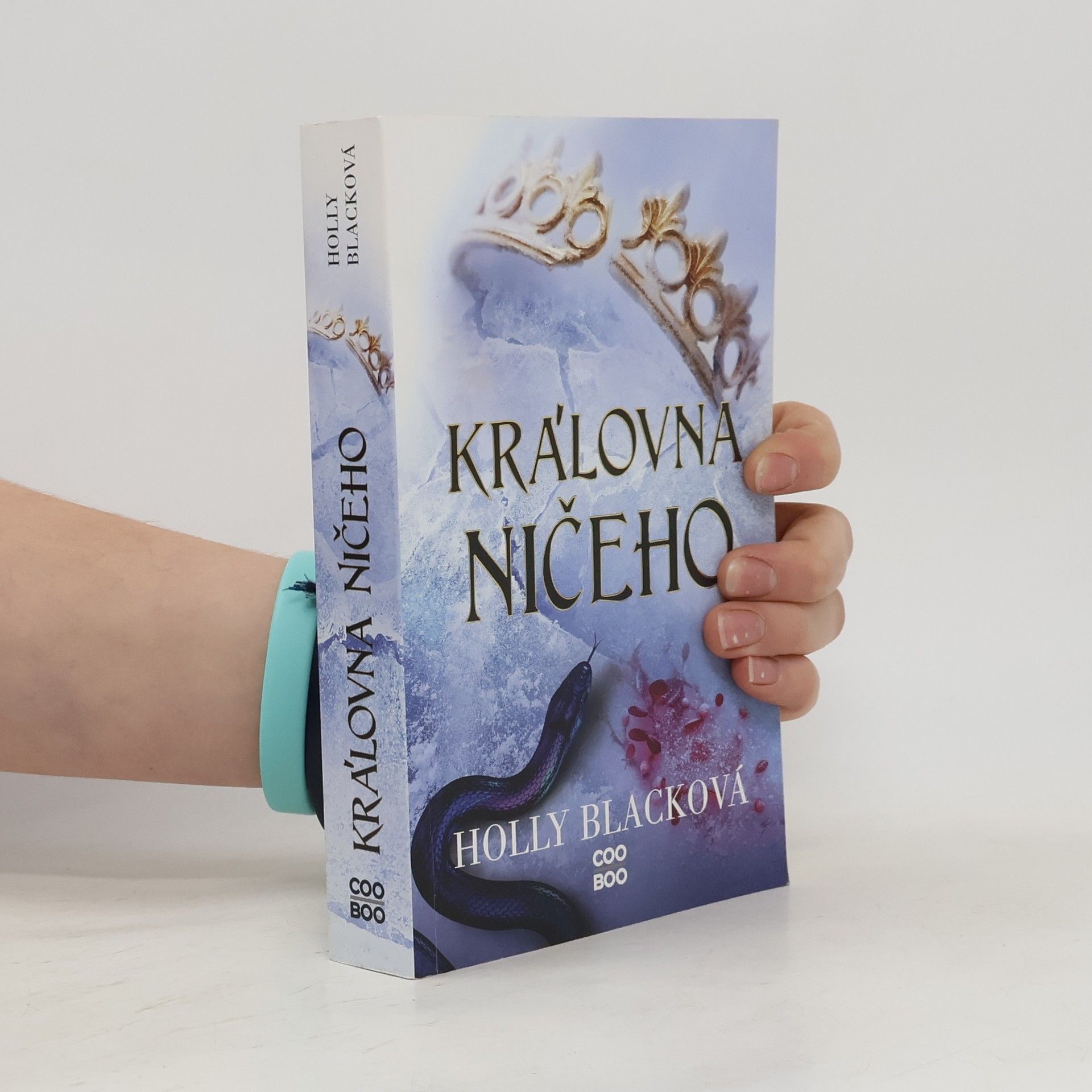 Holly Black Královna ničeho