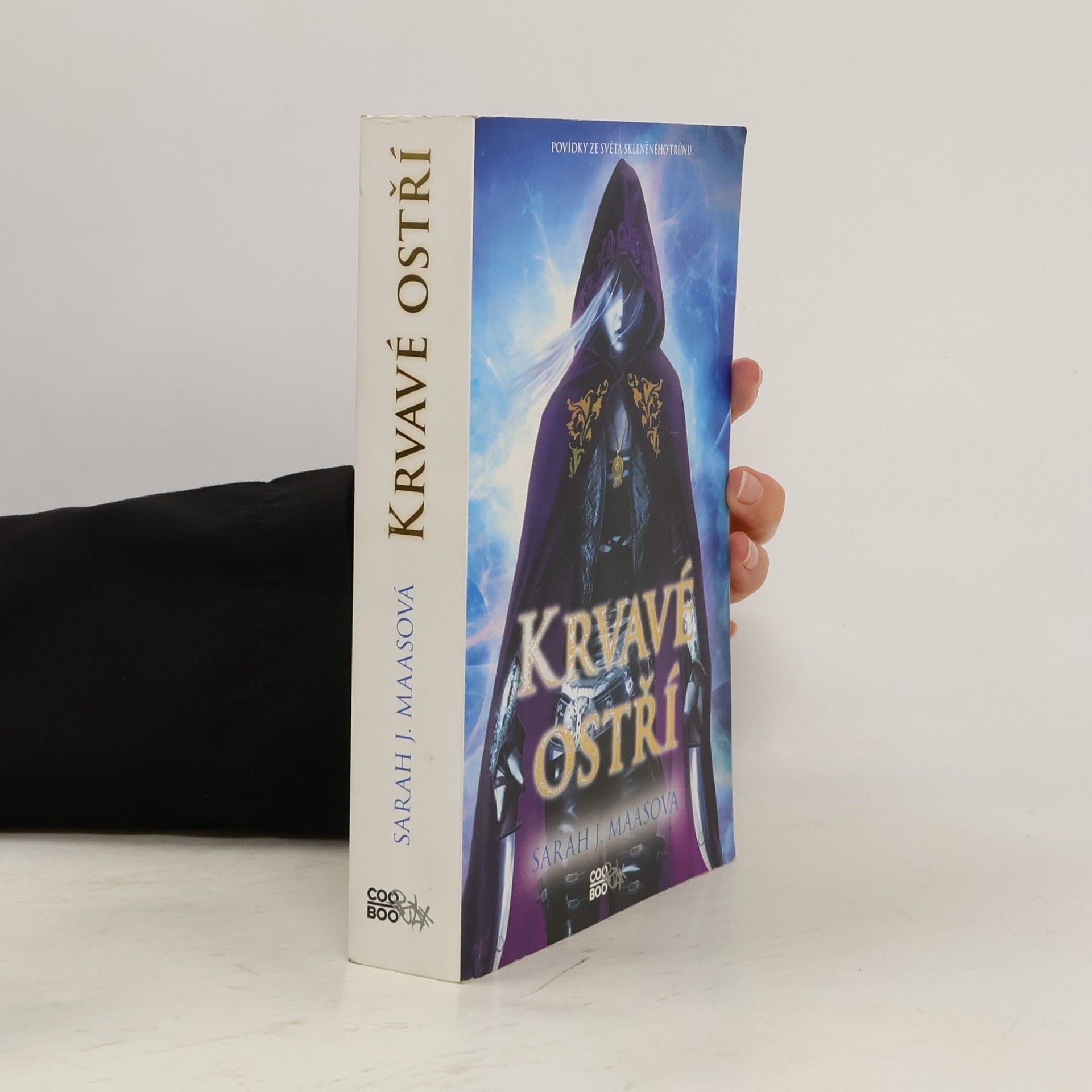 Sarah J. Maas Krvavé ostří