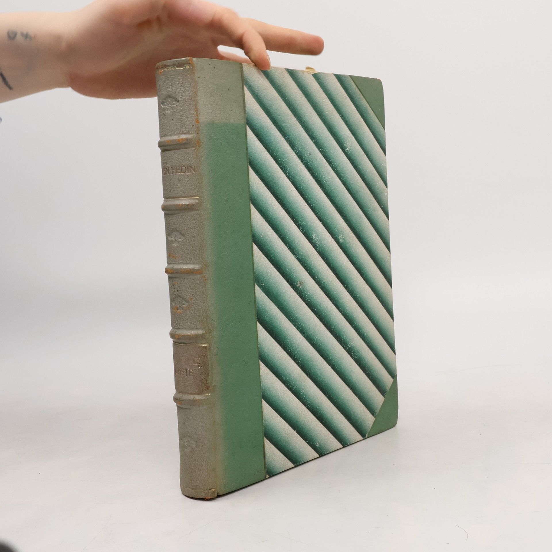 Sven Hedin Na velké cestě