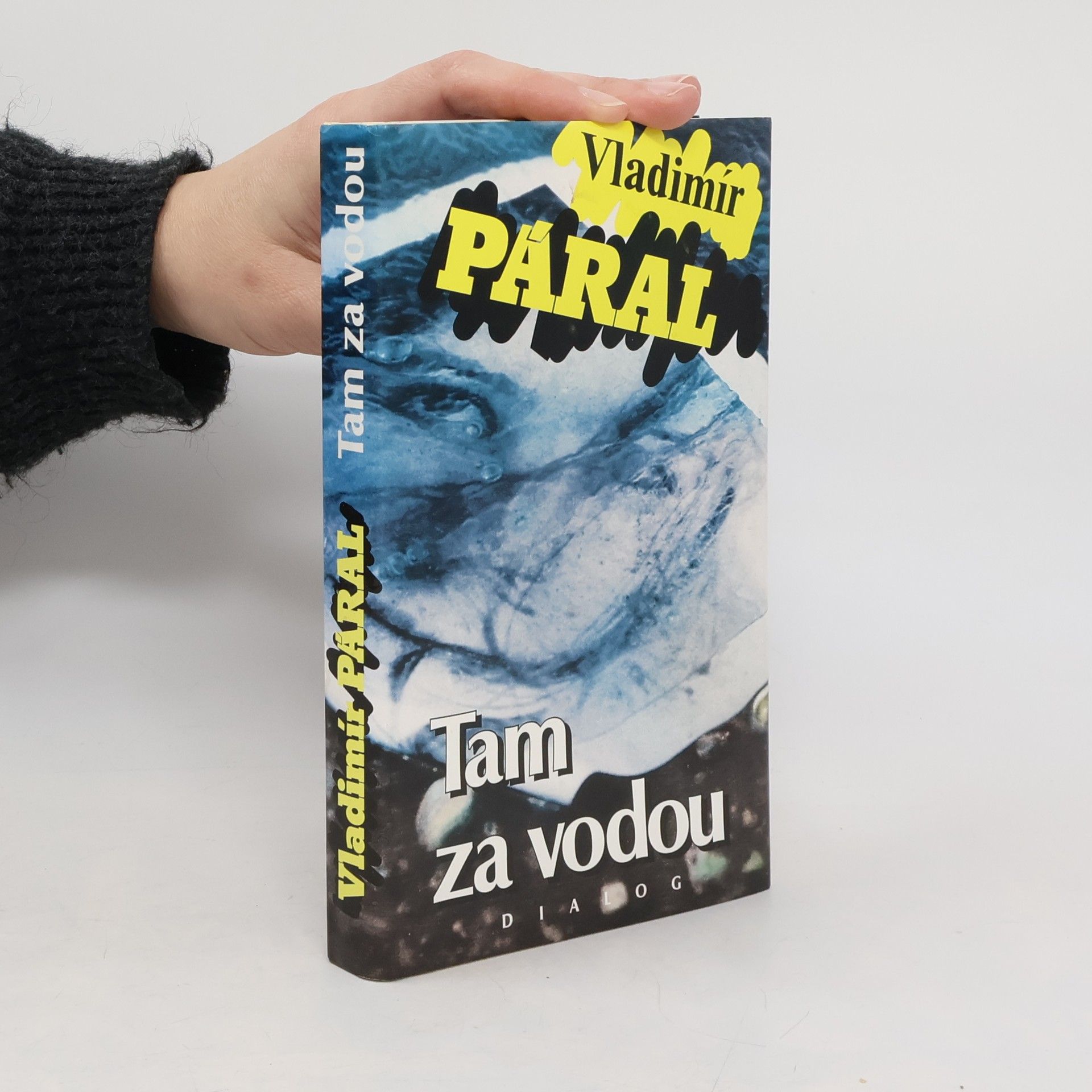 Vladimír Páral Tam za vodou