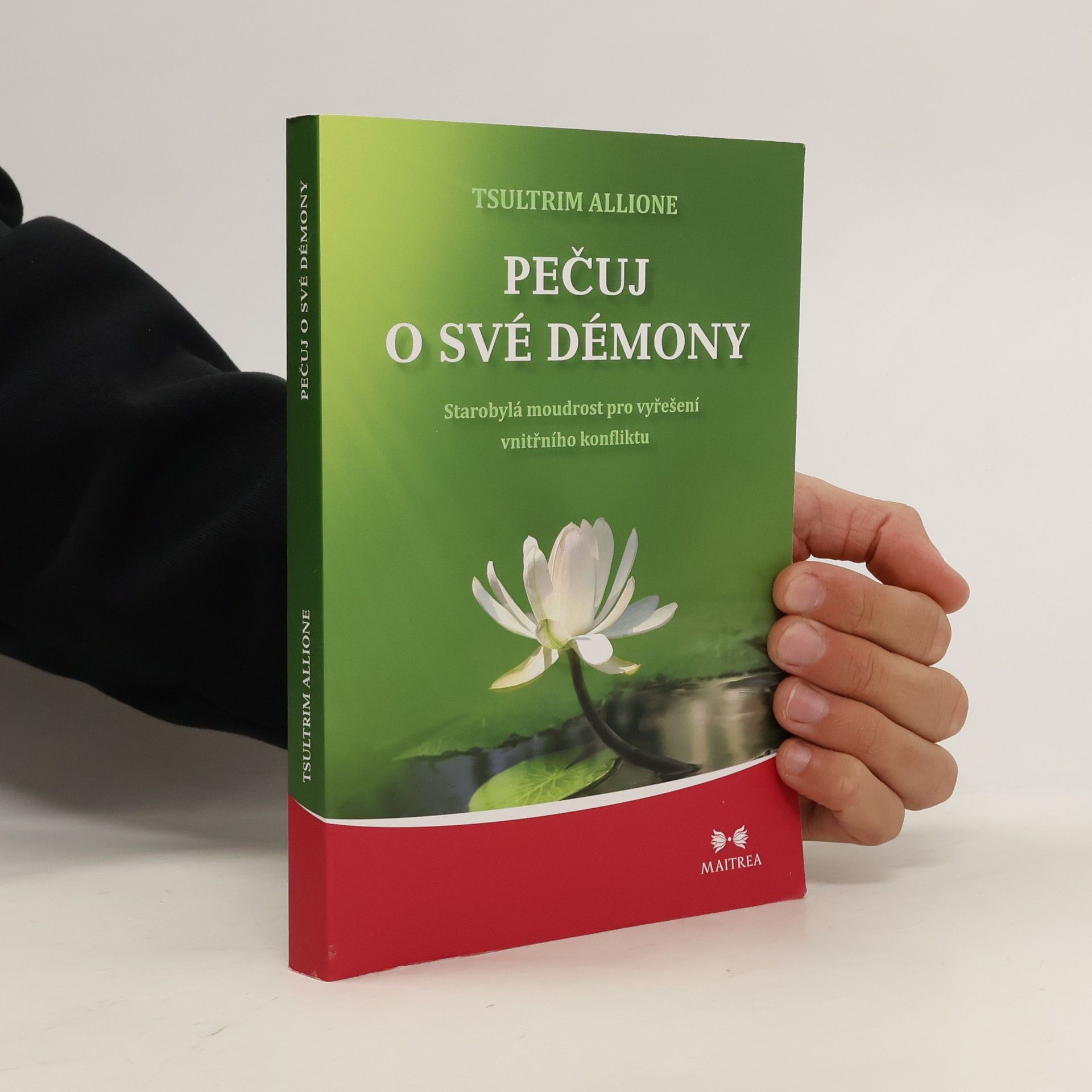 Tsultrim Allione Pečuj o své démony. Starobylá moudrost pro vyřešení vnitřního konfliktu