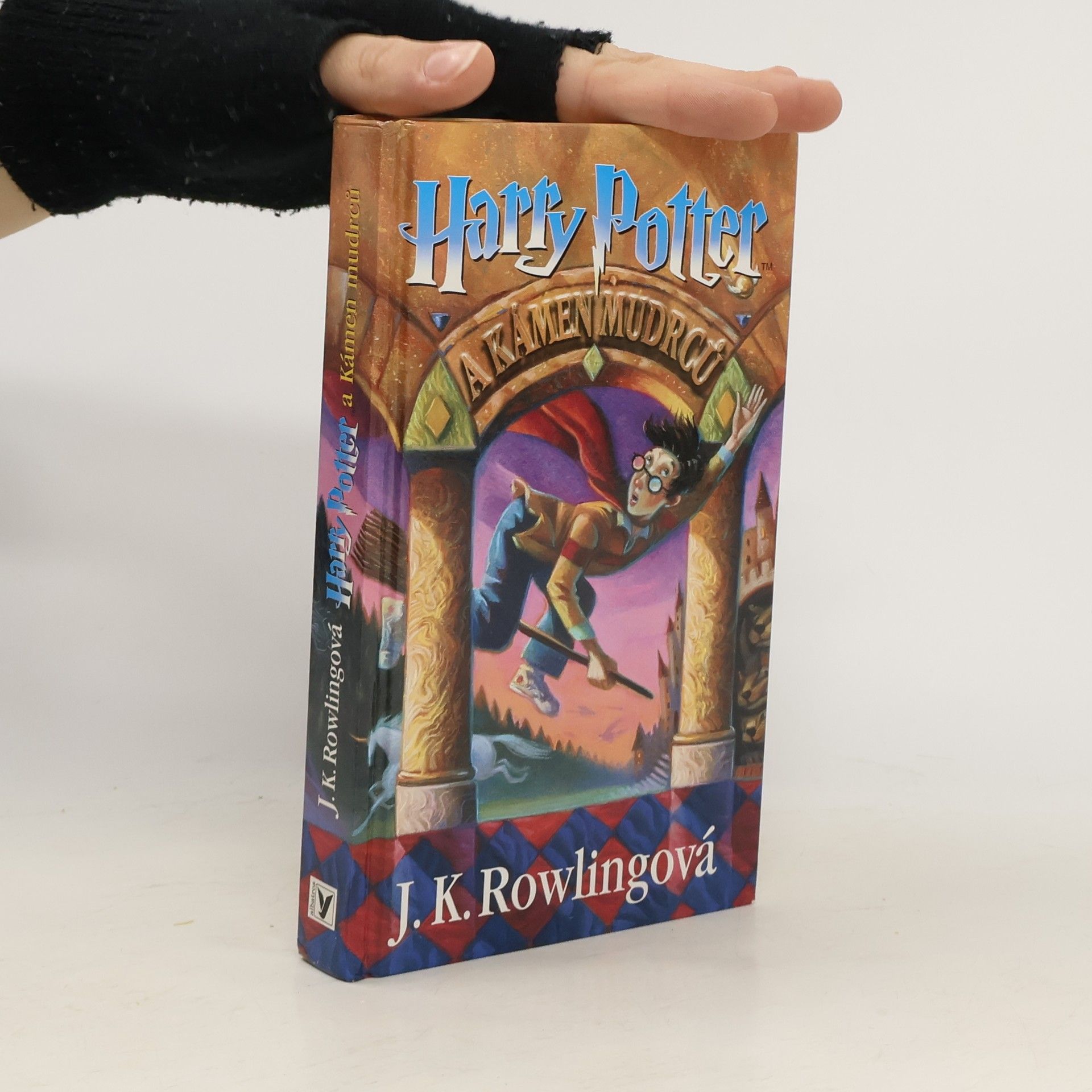 Harry Potter a kámen mudrců