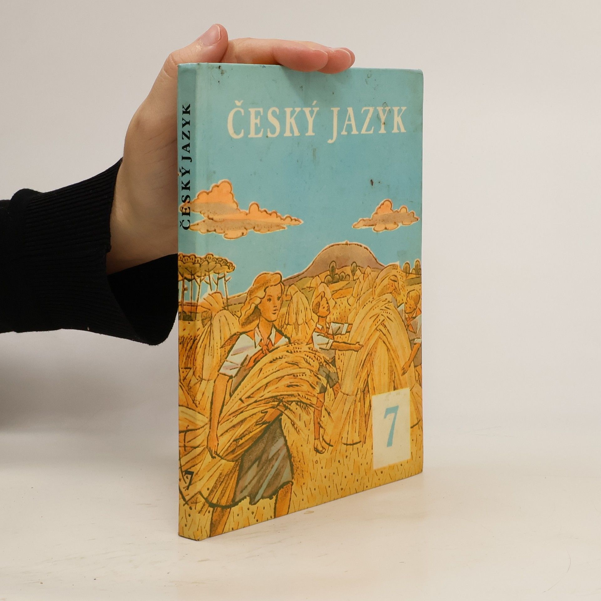 Autores varios Český jazyk 7