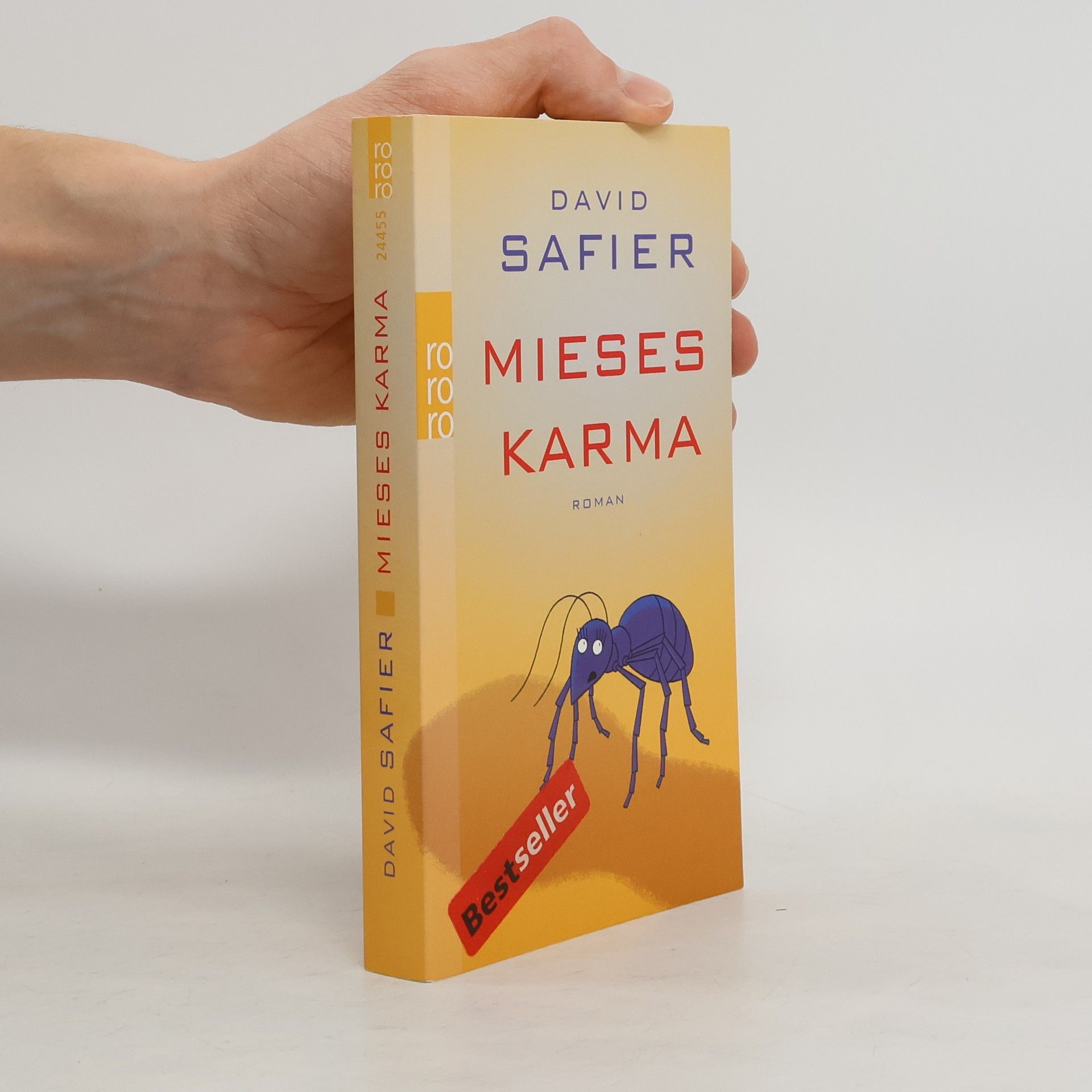 David Safier Mieses Karma