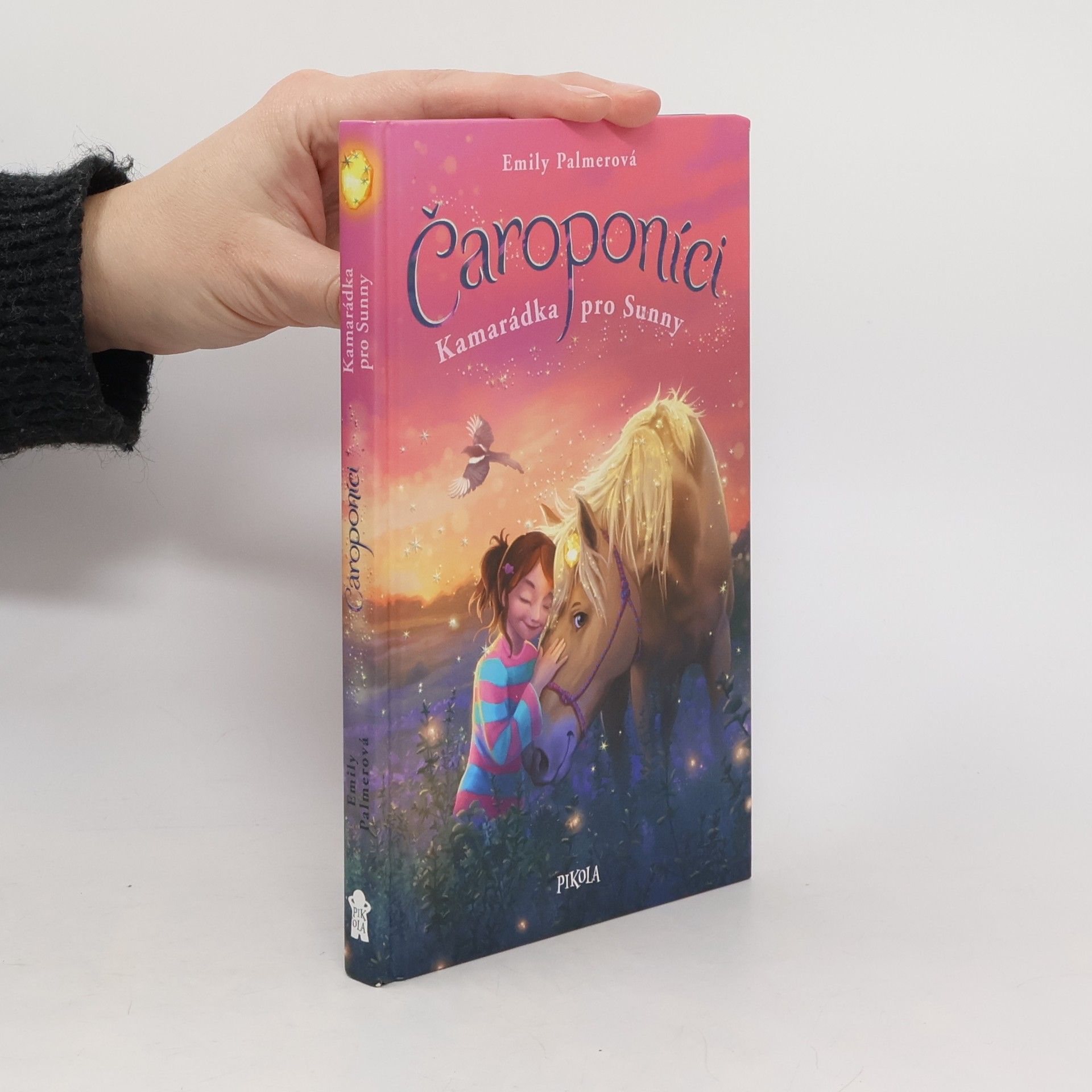 Čaroponíci. Kamarádka pro Sunny