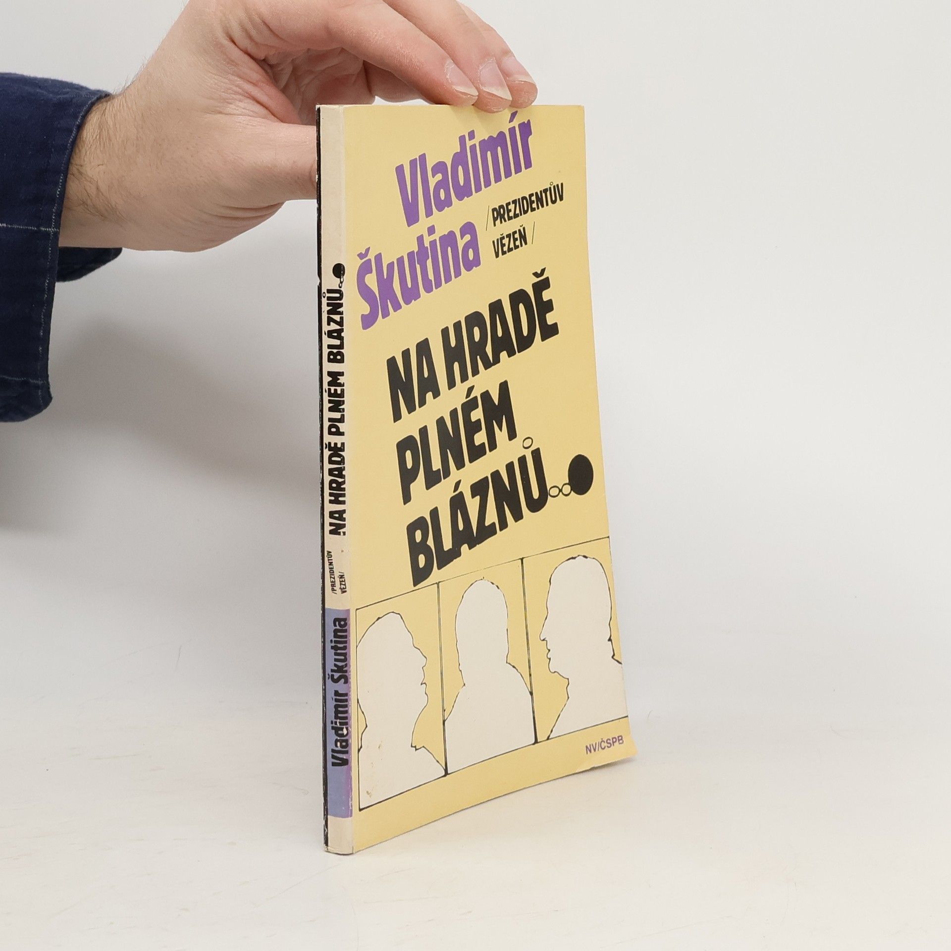 Vladimír Škutina Na hradě plném bláznů