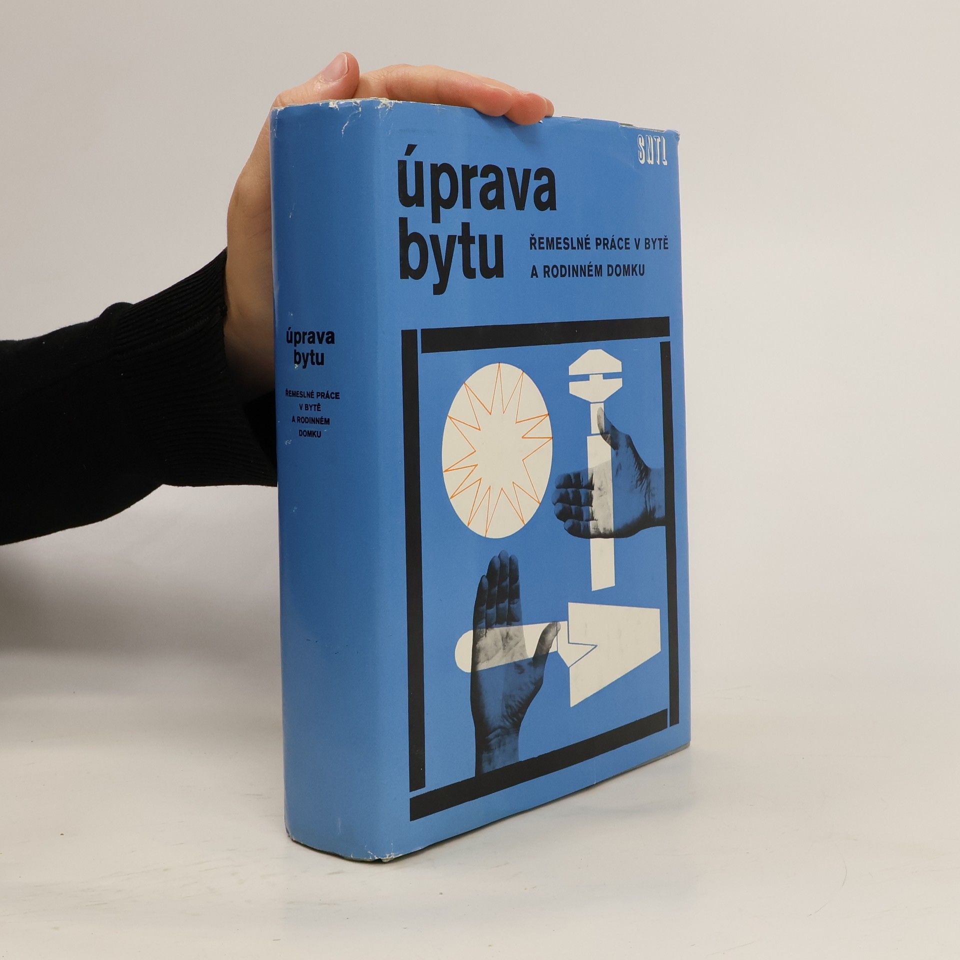 Kolektiv autorů Úprava bytu. Řemeslné práce v bytě a rodinném domku