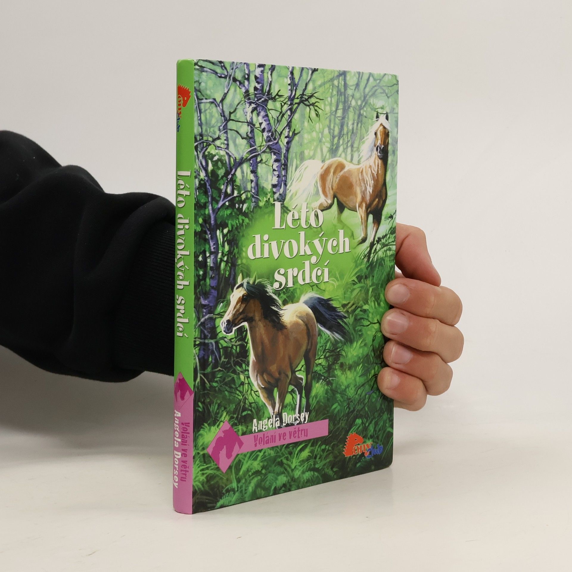 Angela Dorsey Léto divokých srdcí