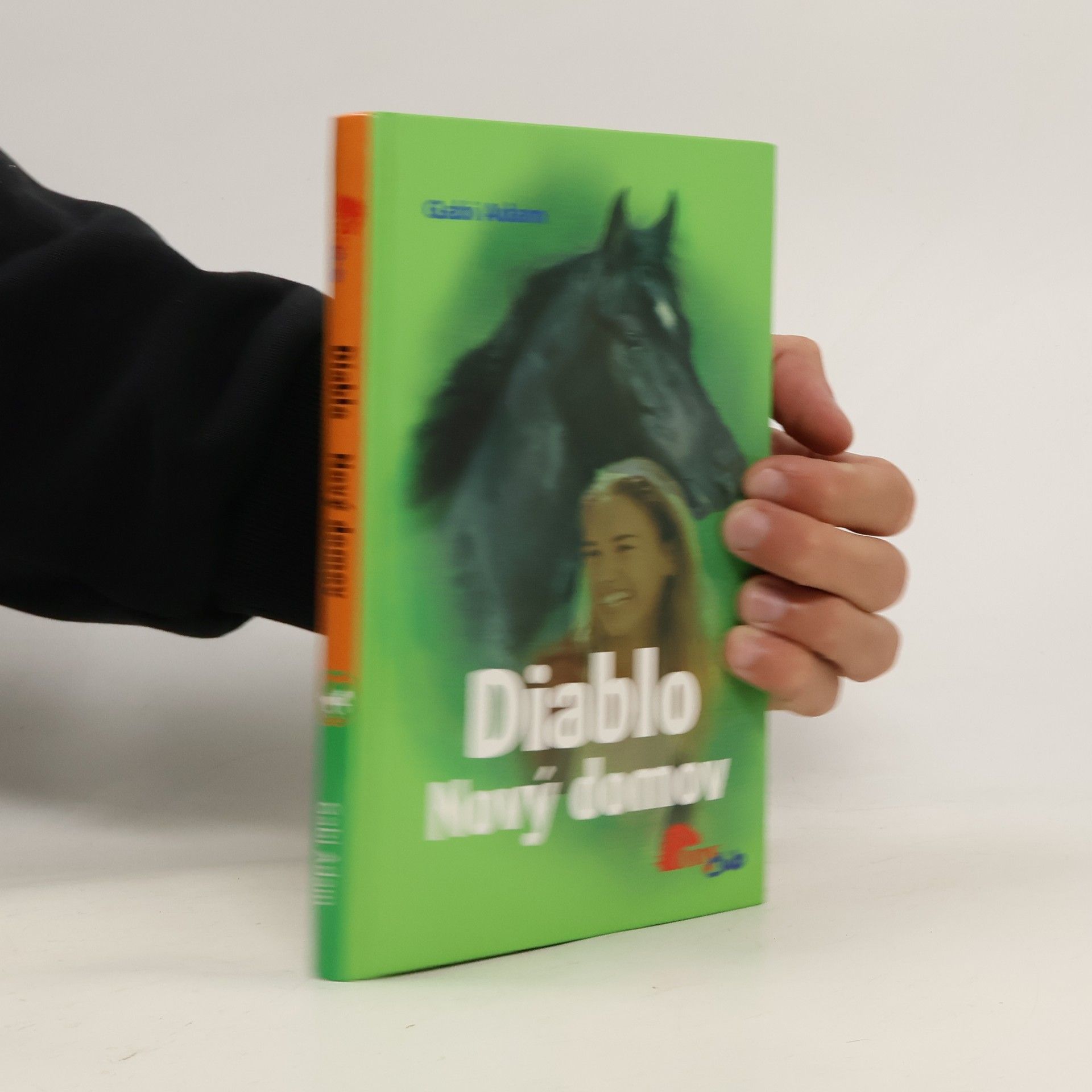 Gabi Adam Nový domov. Diablo 3