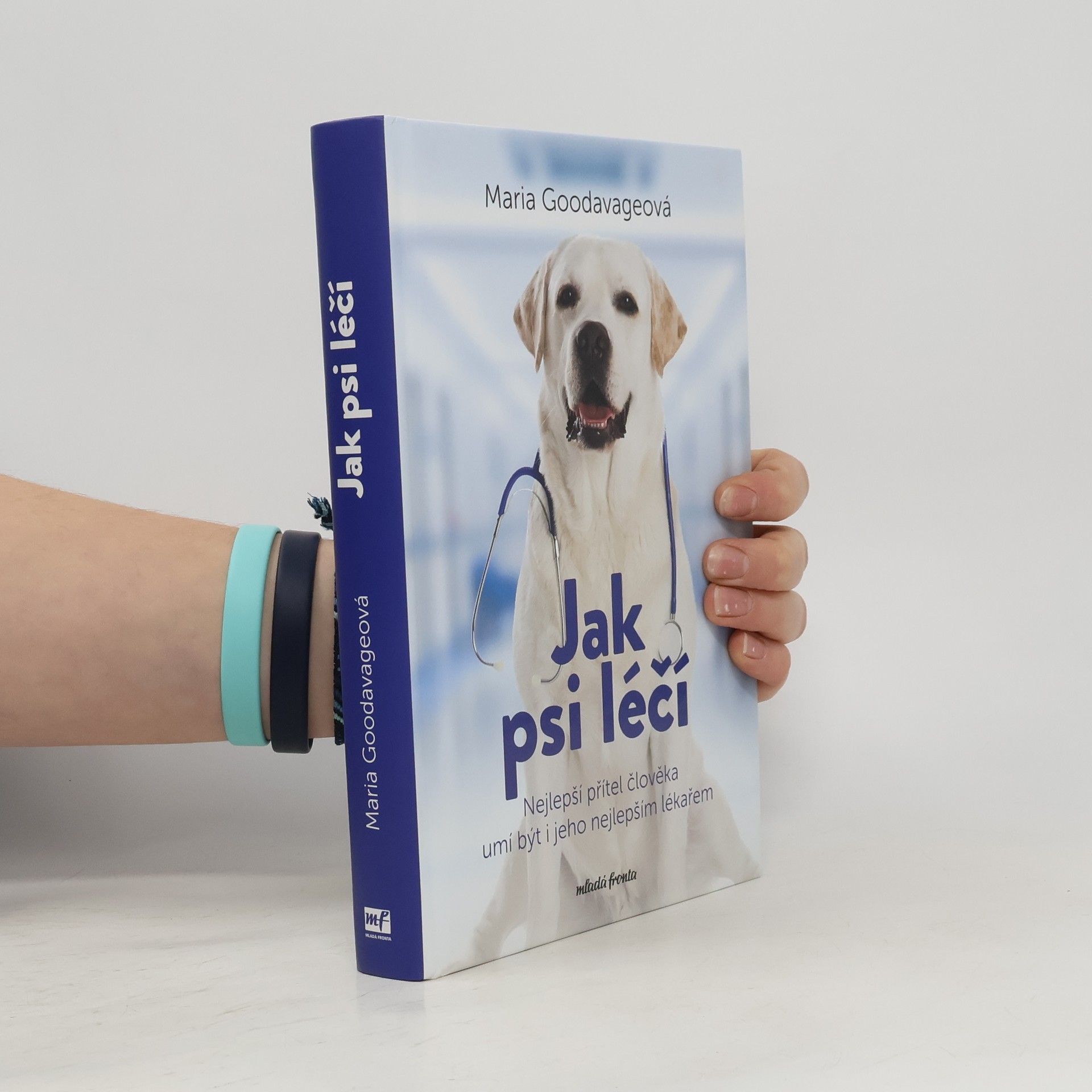 Maria Goodavage Jak psi léčí