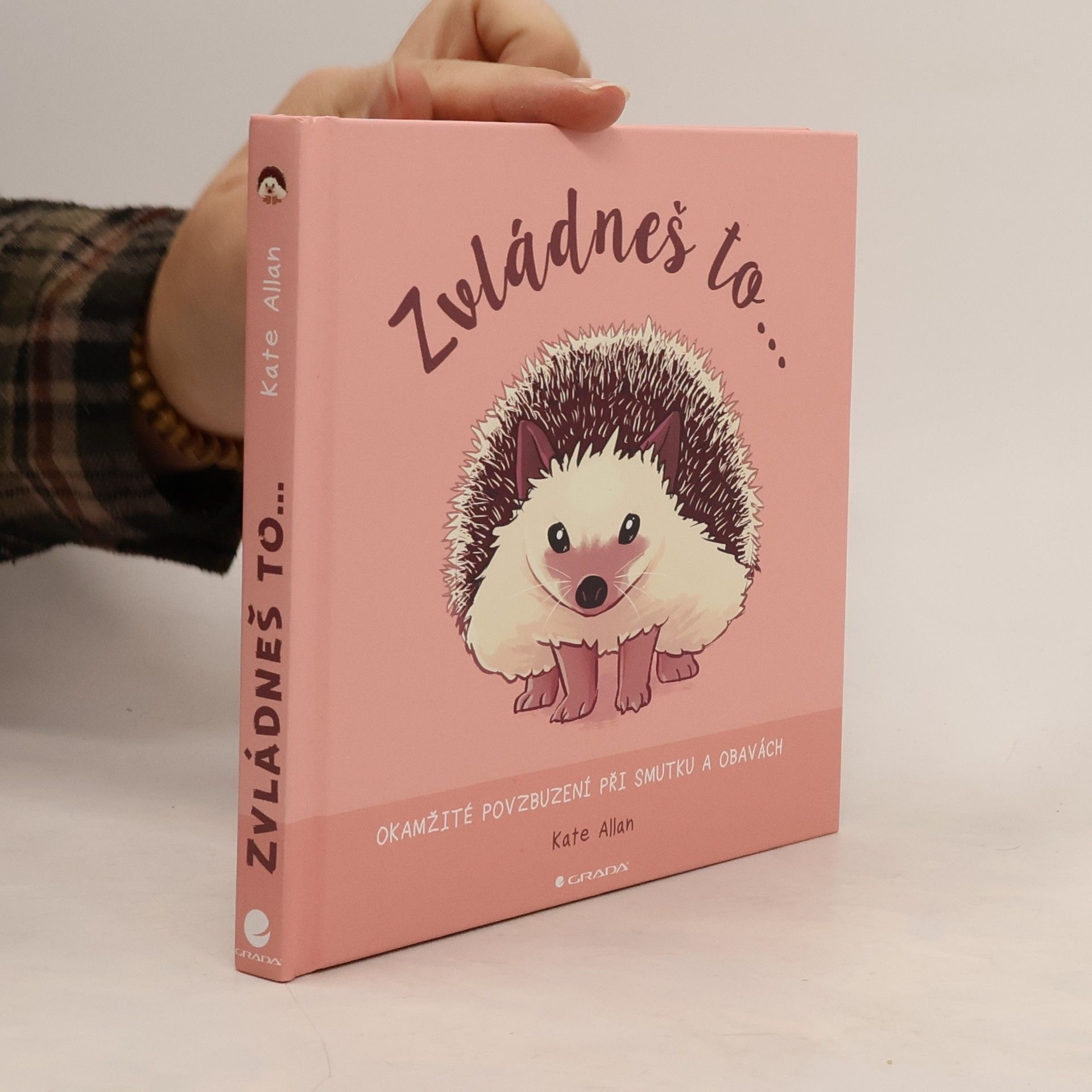 Kate Allan Zvládneš to... Okamžité povzbuzení při smutku a obavách