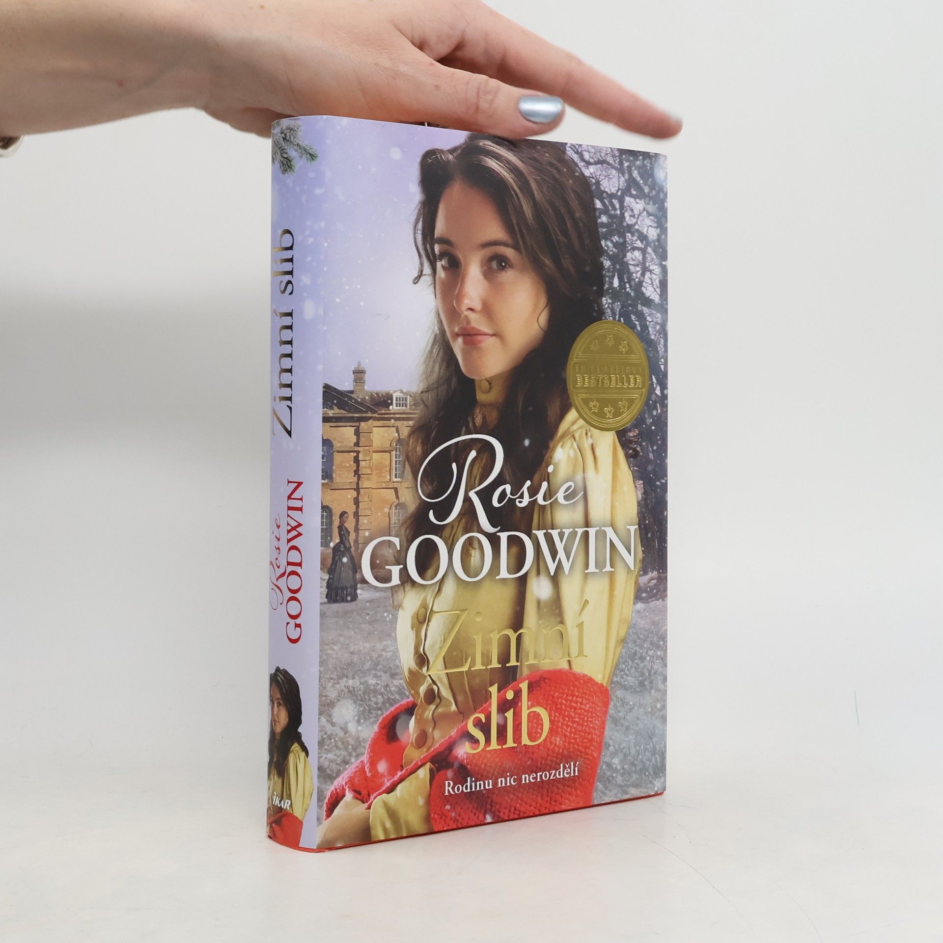 Rosie Goodwin Zimní slib