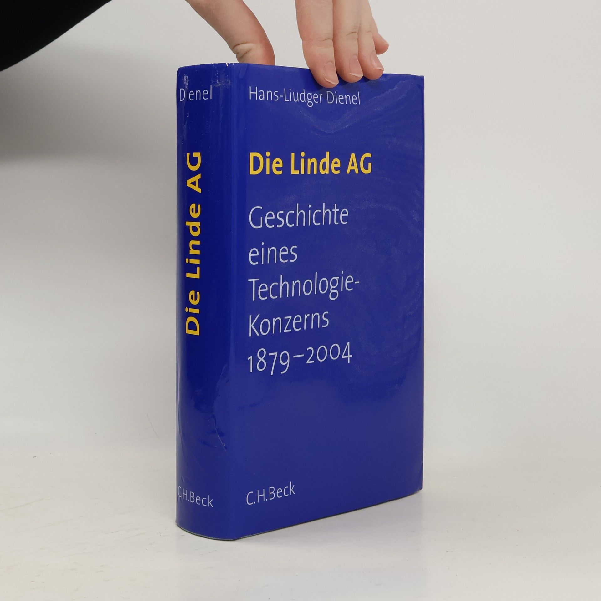 Hans Liudger Dienel Die Linde AG