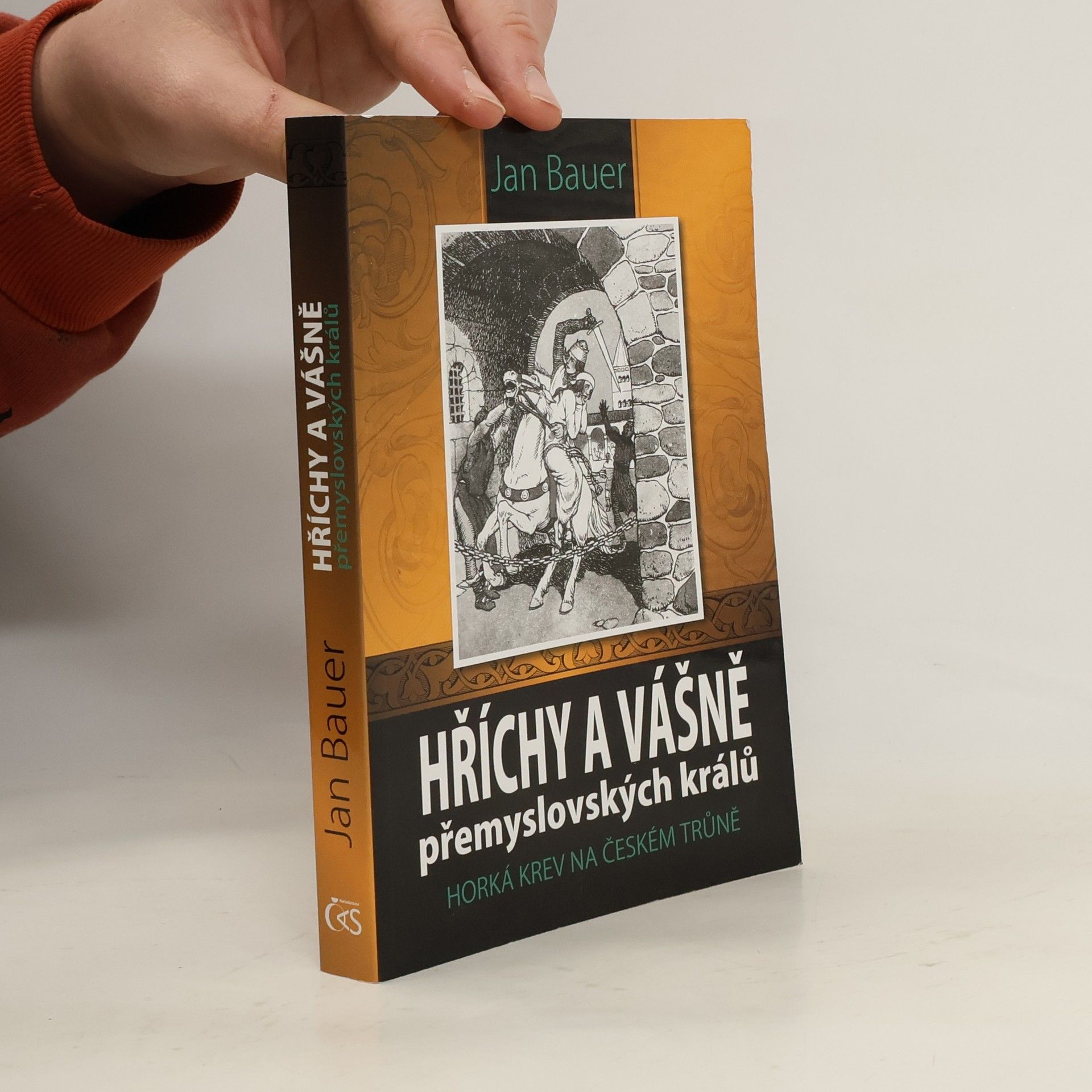 Jan Bauer Hříchy a vášně přemyslovských králů