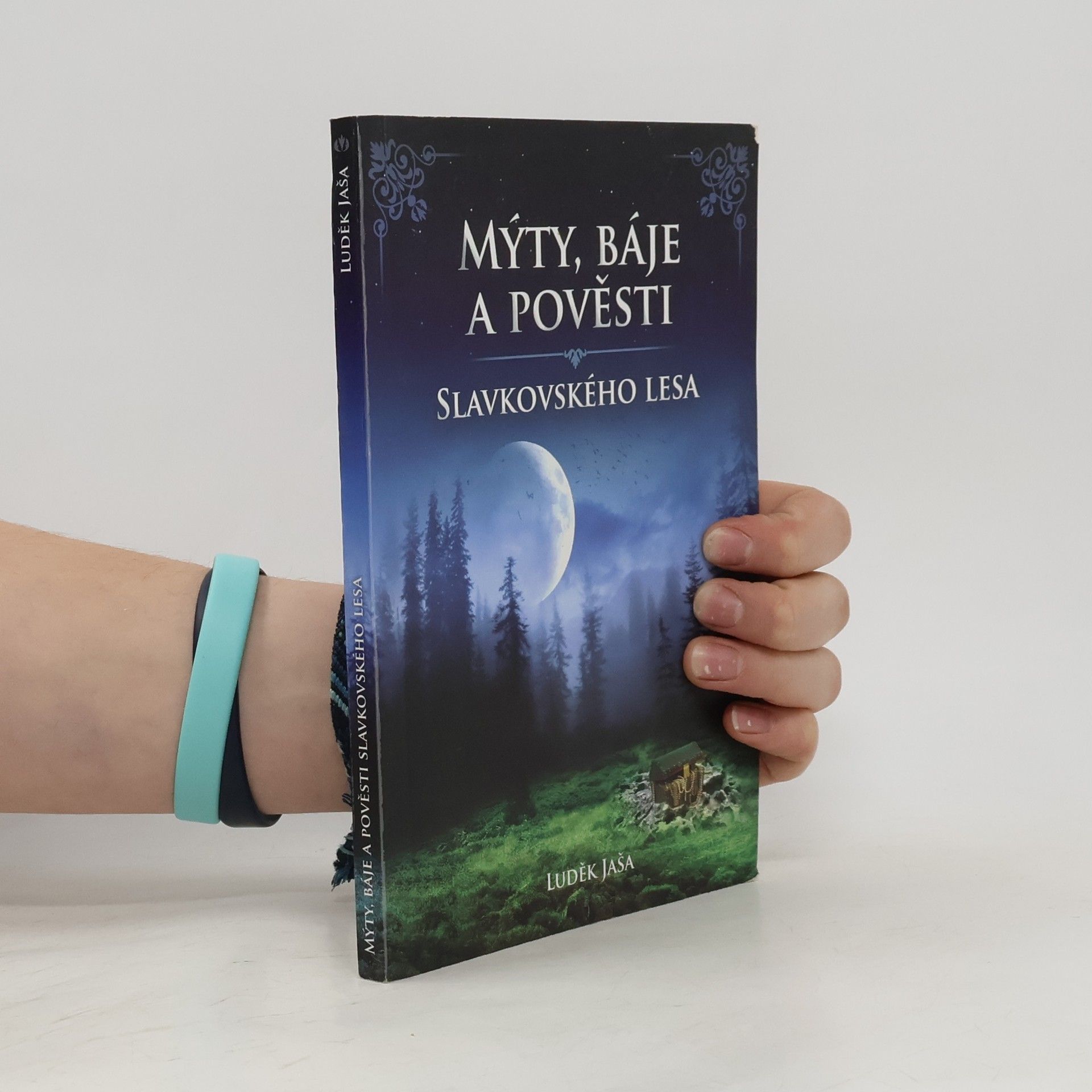Luděk Jaša Mýty, báje a pověsti Slavkovského lesa