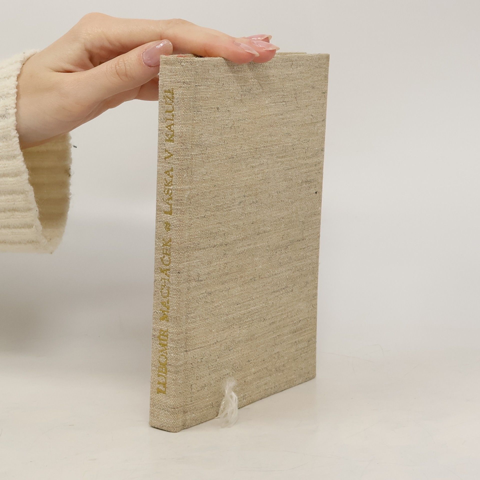 Lubomír Macháček Láska v kaluži