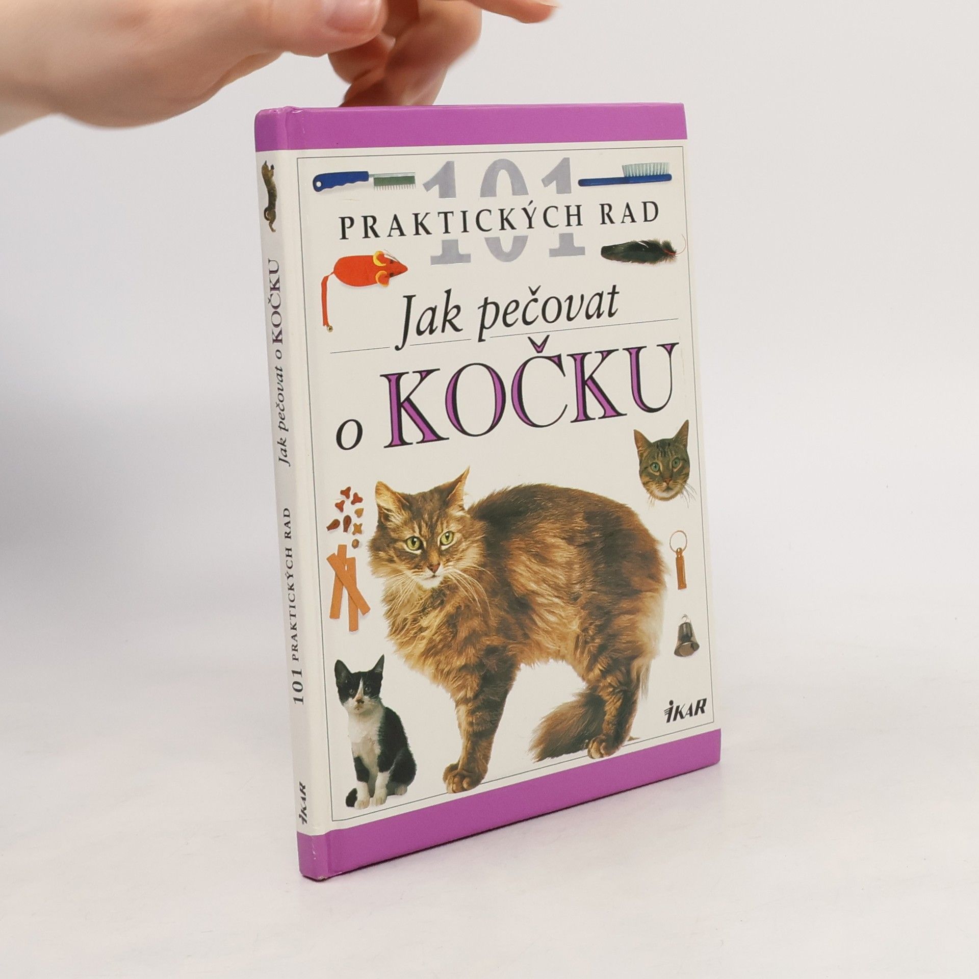 Andrew Edney Jak pečovat o kočku