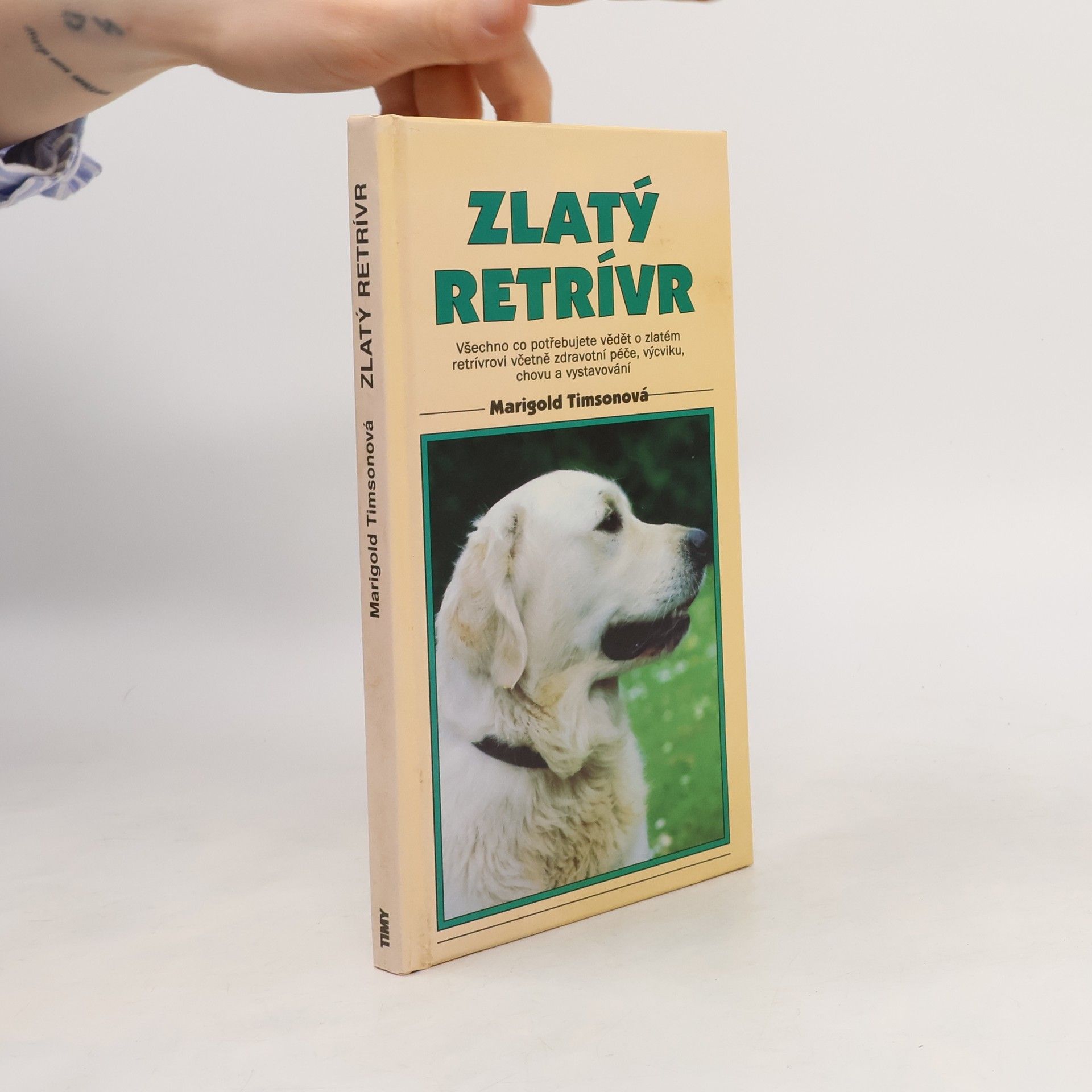 Marigold Timson Zlatý retriever