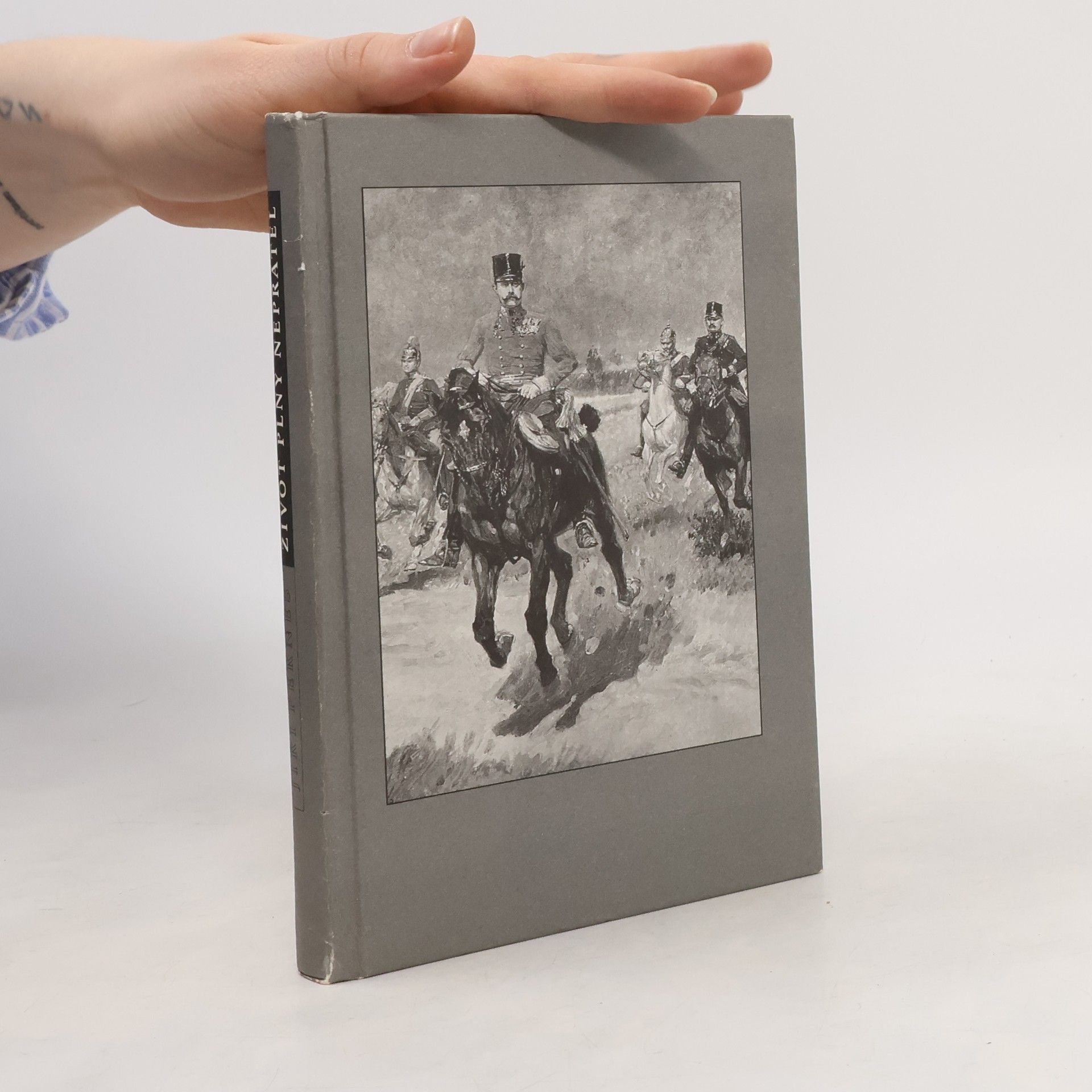 Jiří Pernes Život plný nepřátel, aneb, Dramatický život a tragická smrt následníka trůnu Františka Ferdinanda d'Este