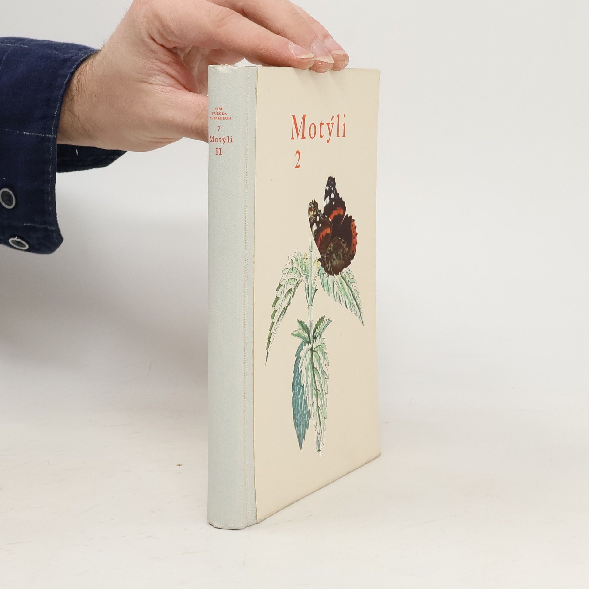 Motýli 2