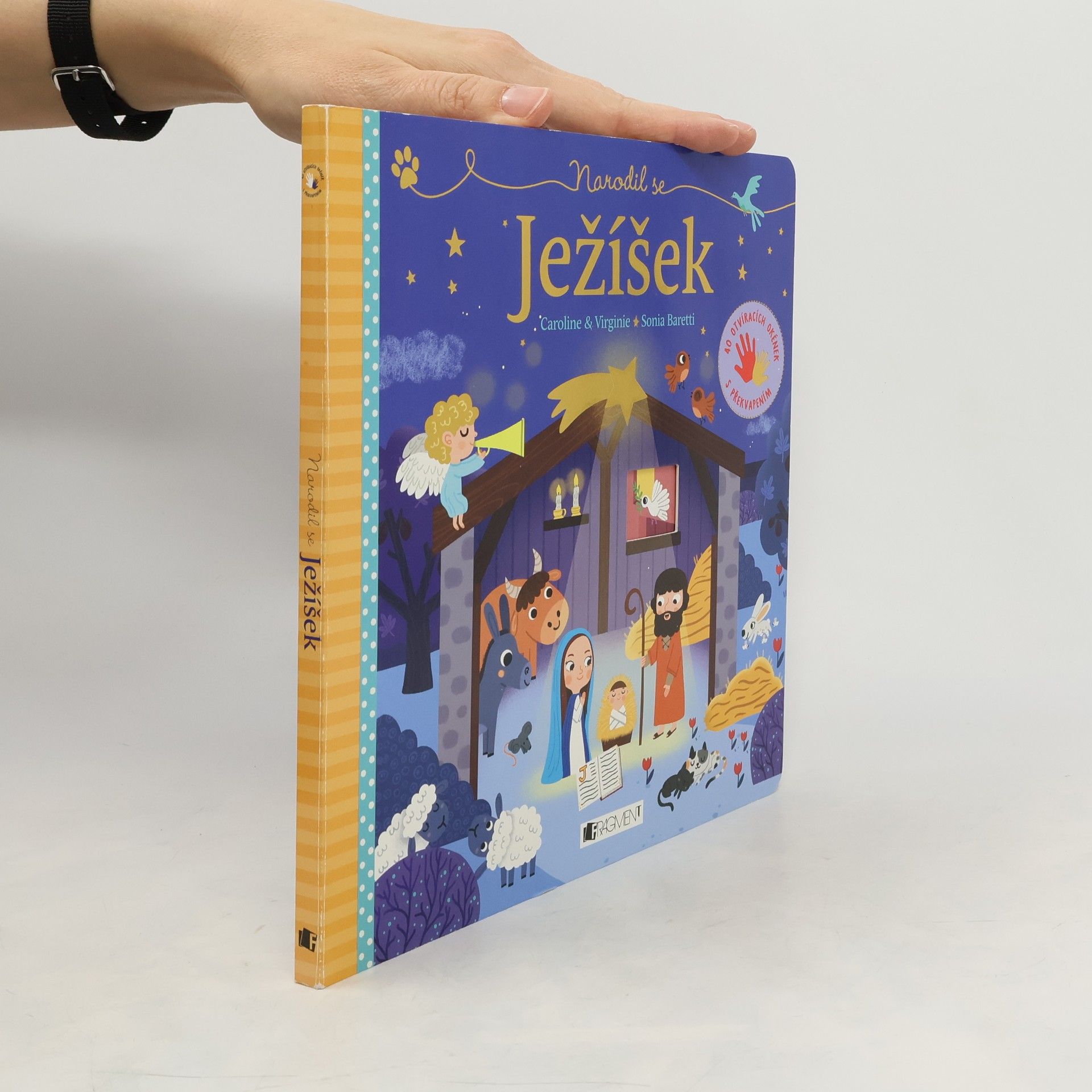 Virginie Aladjidi Narodil se Ježíšek