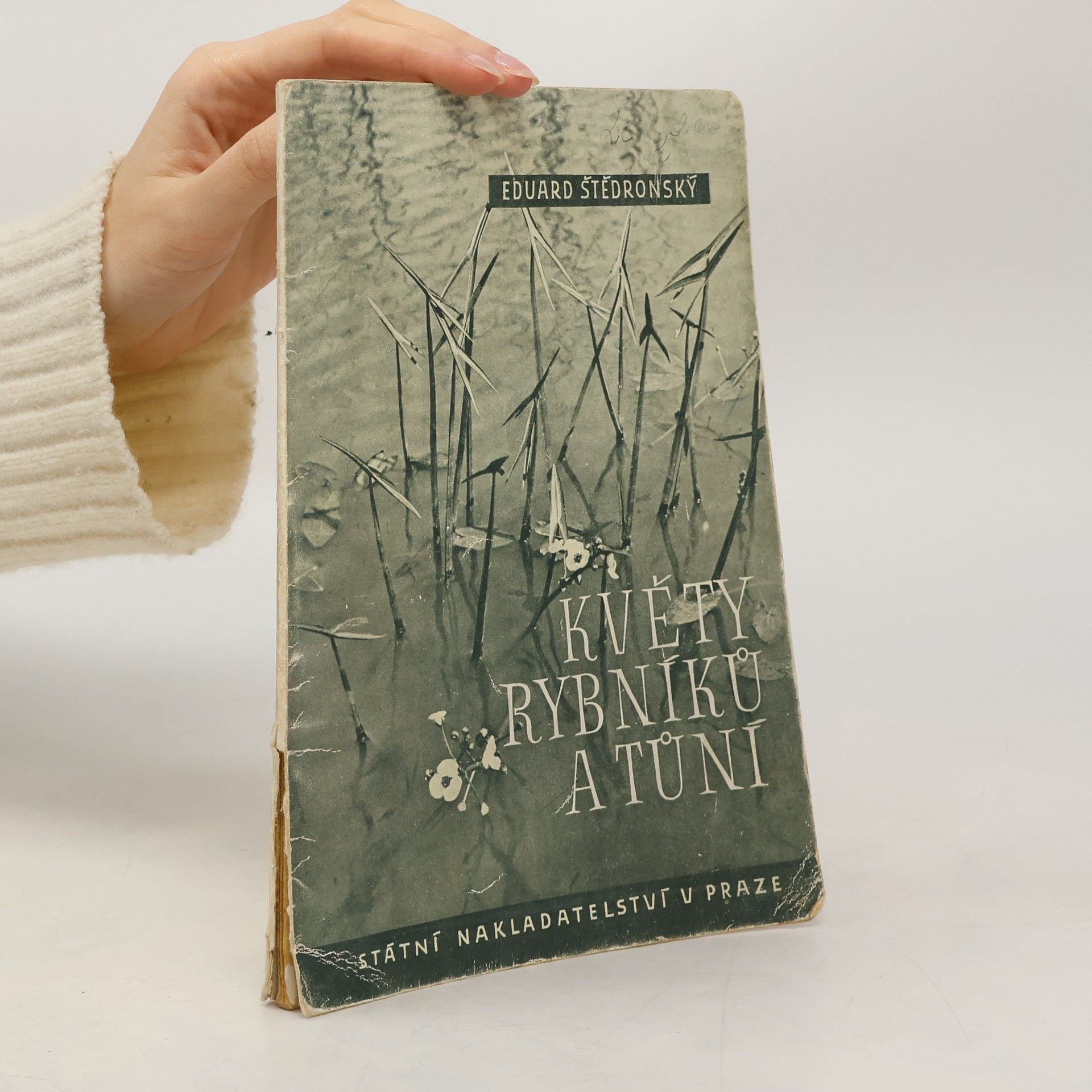 Eduard Štědronský Květy rybníků a tůní : Doplňková četba přírodopisná pro školy II. a III. stupně
