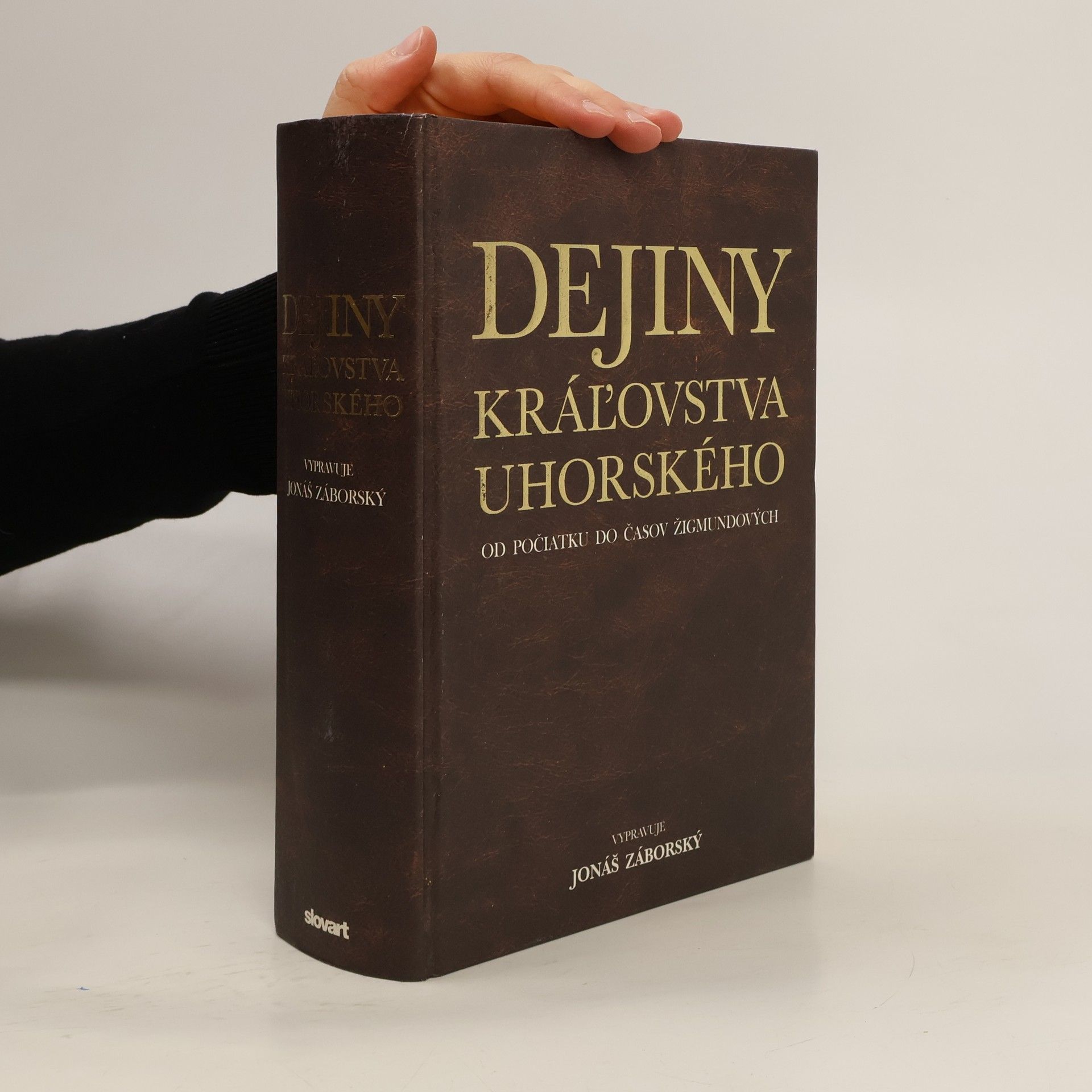 Dejiny kráľovstva uhorského: od počiatku do časov Žigmundových / vypravuje Jonáš Záborský. 1875