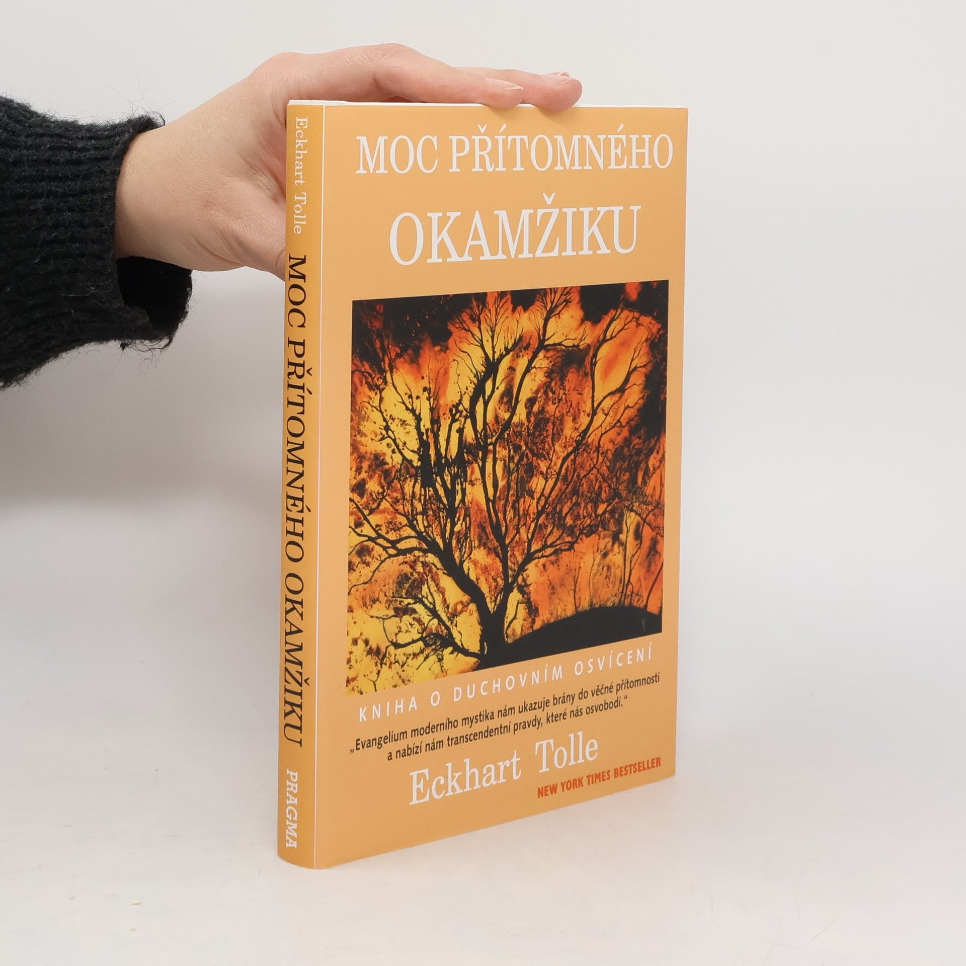 Eckhart Tolle Moc přítomného okamžiku