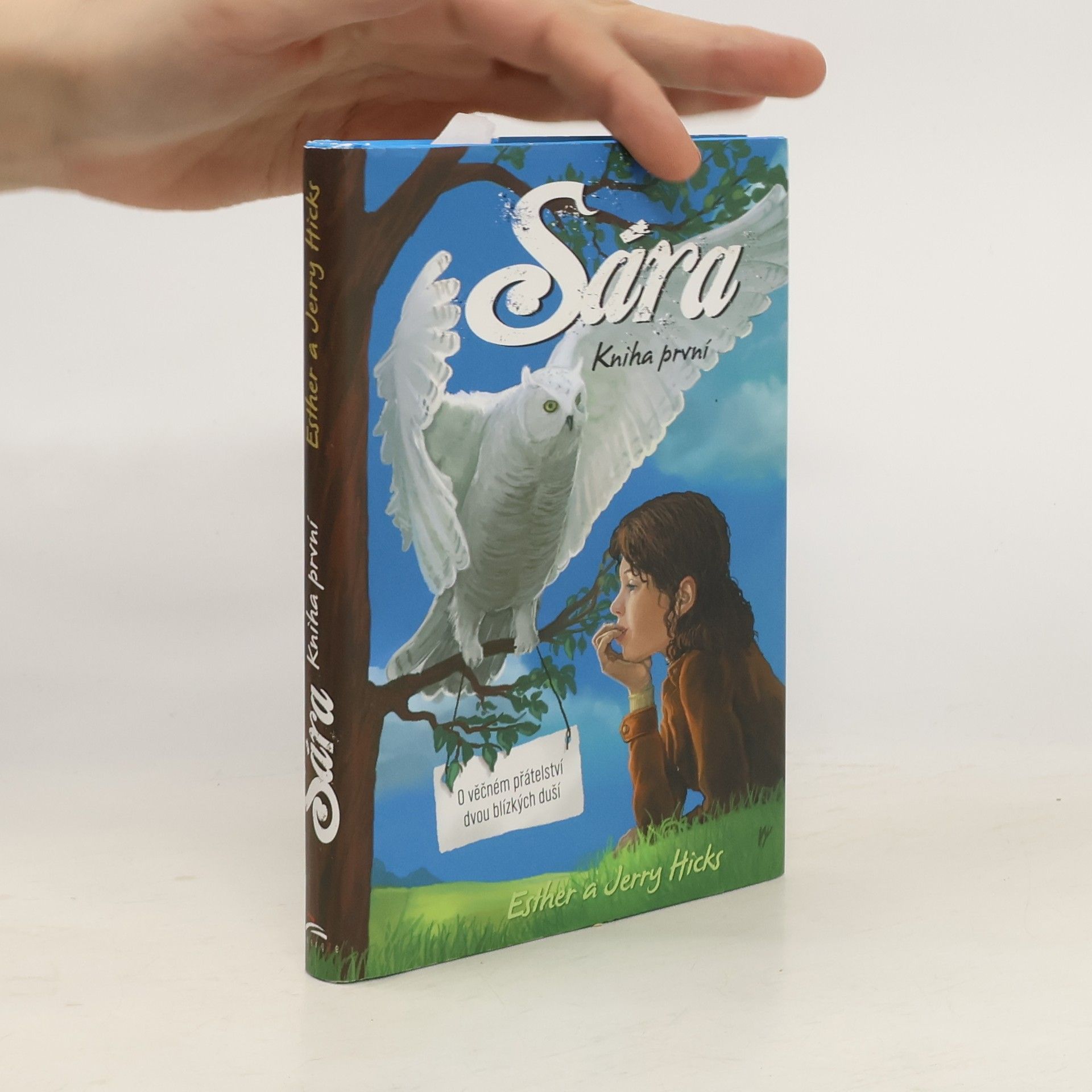 Sára. Kniha první, O věčném přátelství dvou blízkých duší