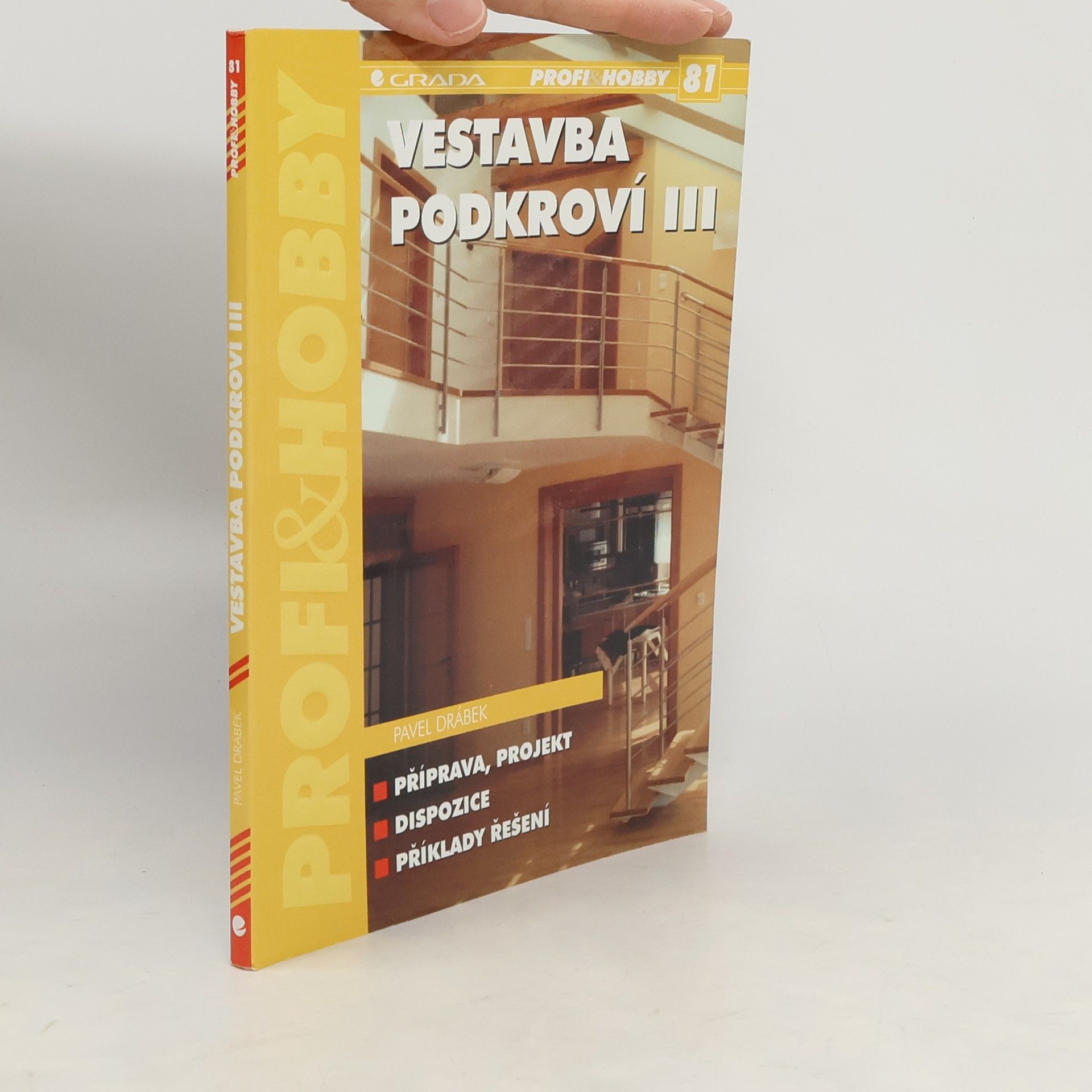 Pavel Drábek Vestavba podkroví III