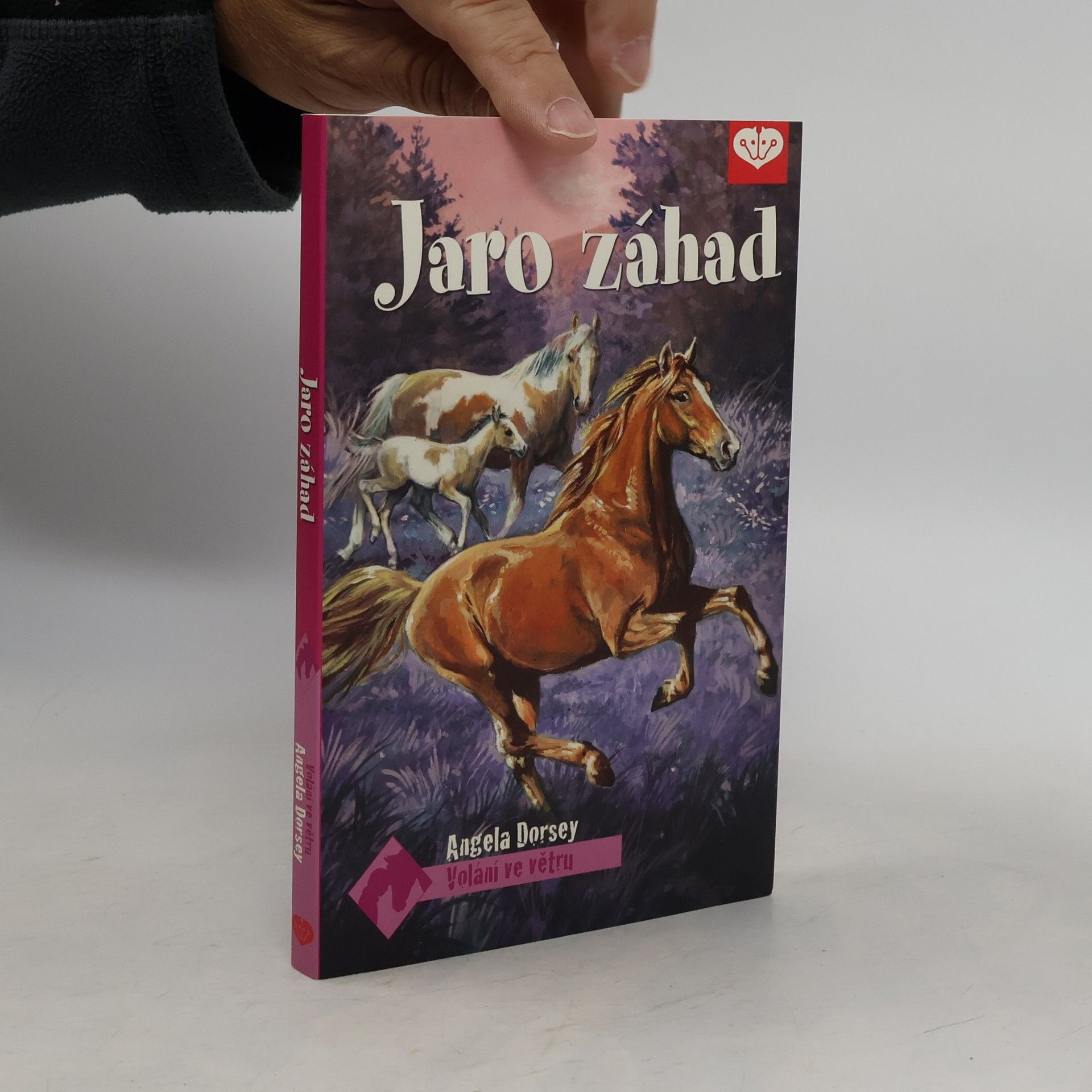 Angela Dorsey Jaro záhad