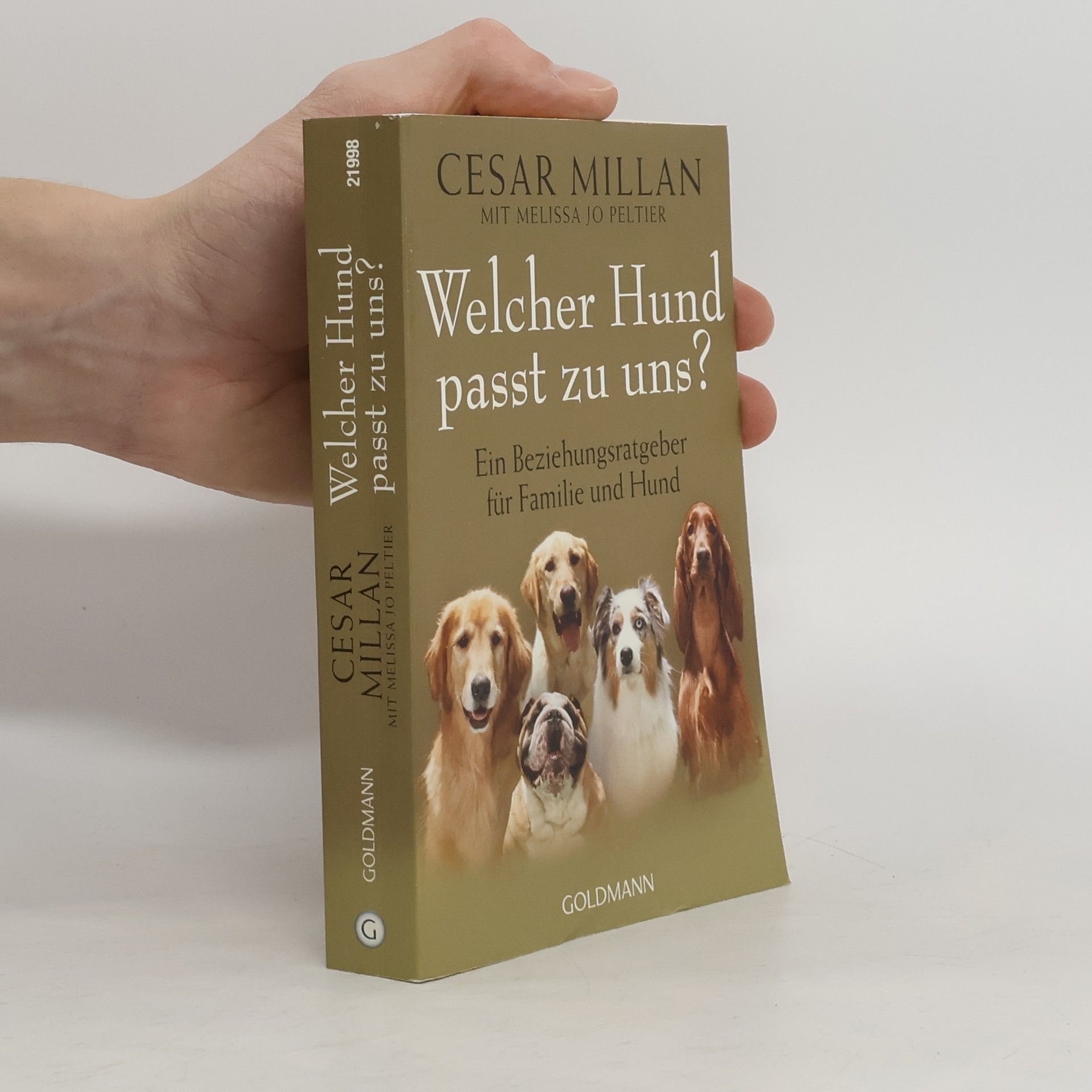 Cesar Millan Welcher Hund passt zu uns?