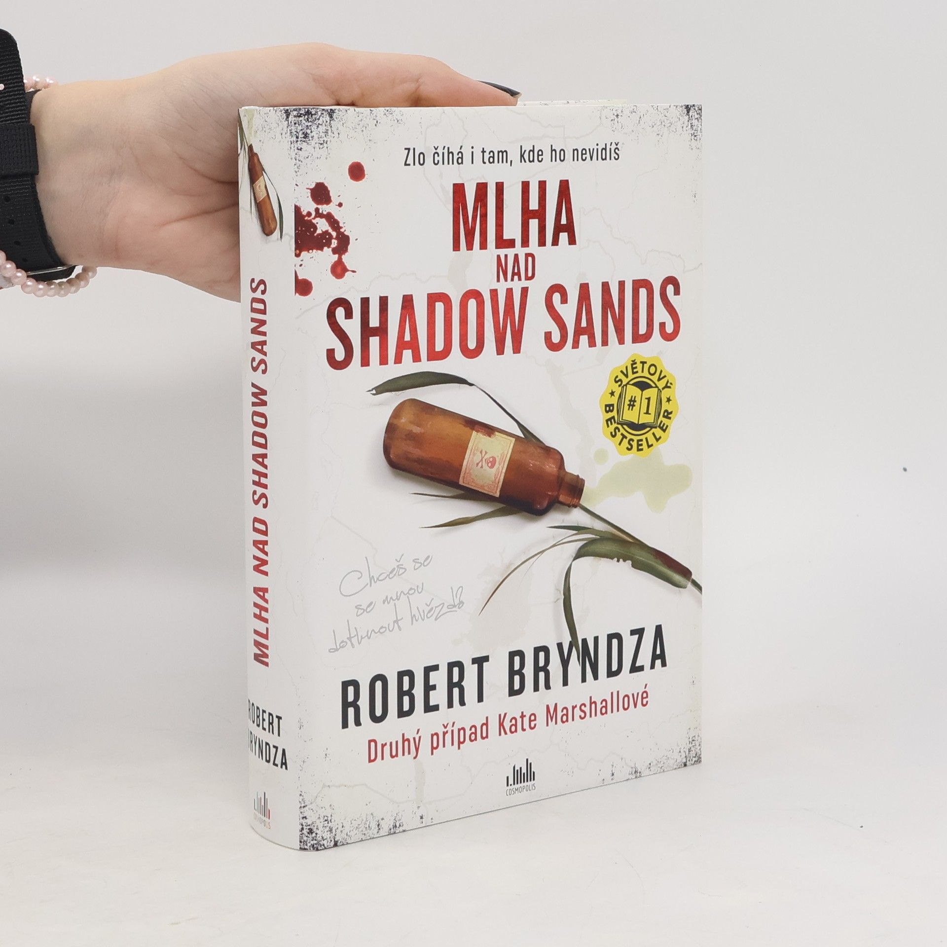 Robert Bryndza Mlha nad Shadow Sands