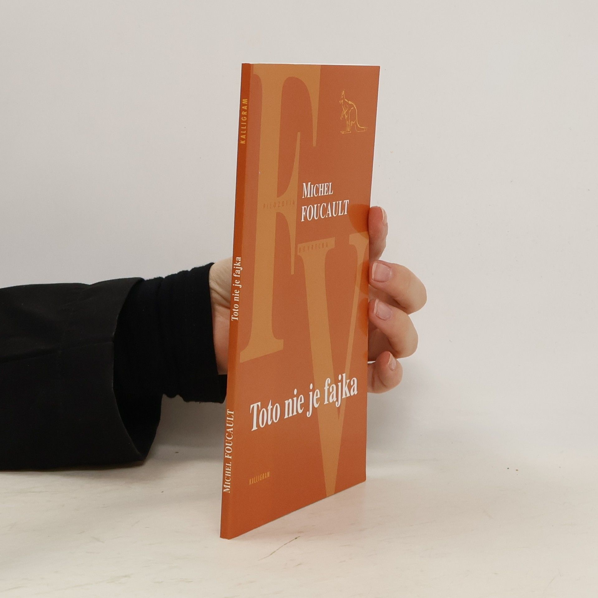 Michel Foucault Toto nie je fajka
