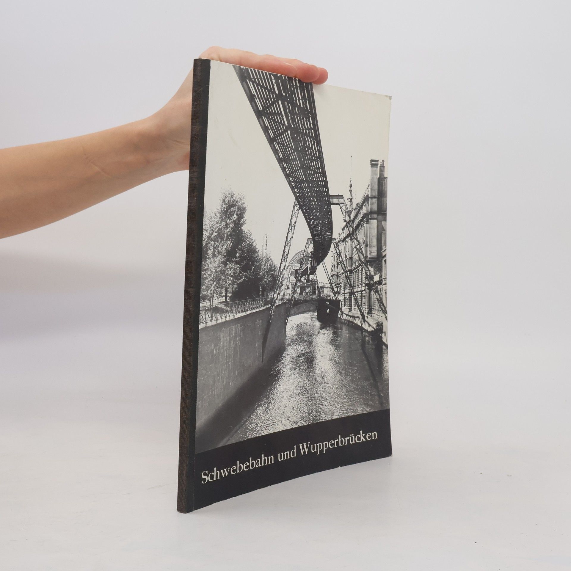 Schwebebahn und Wupperbrücken