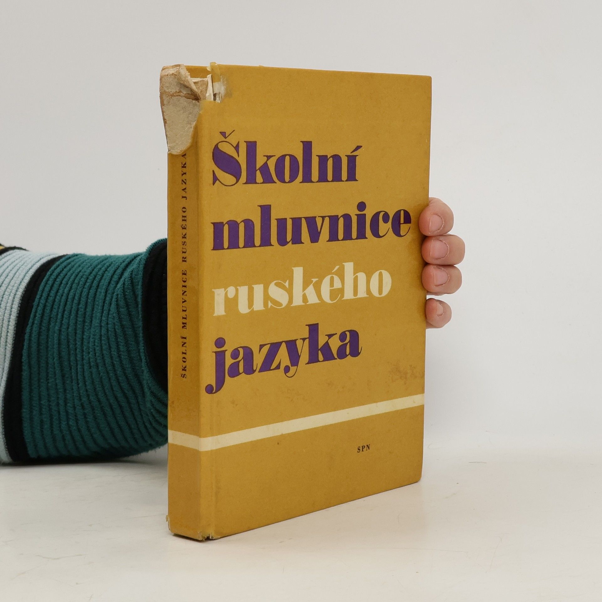 Kolektív autorov Školní mluvnice ruského jazyka