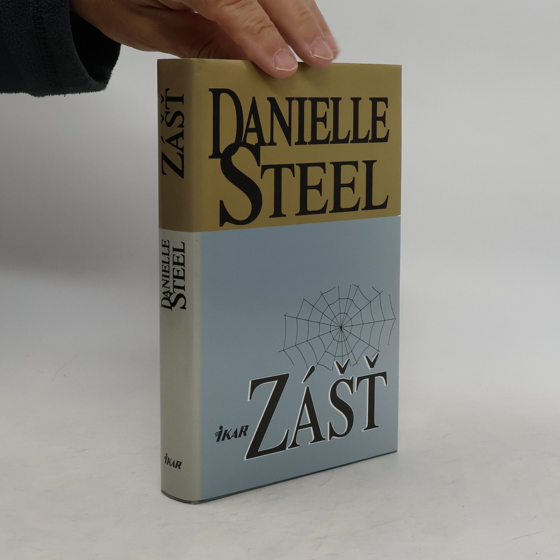 Danielle Steel Zášť