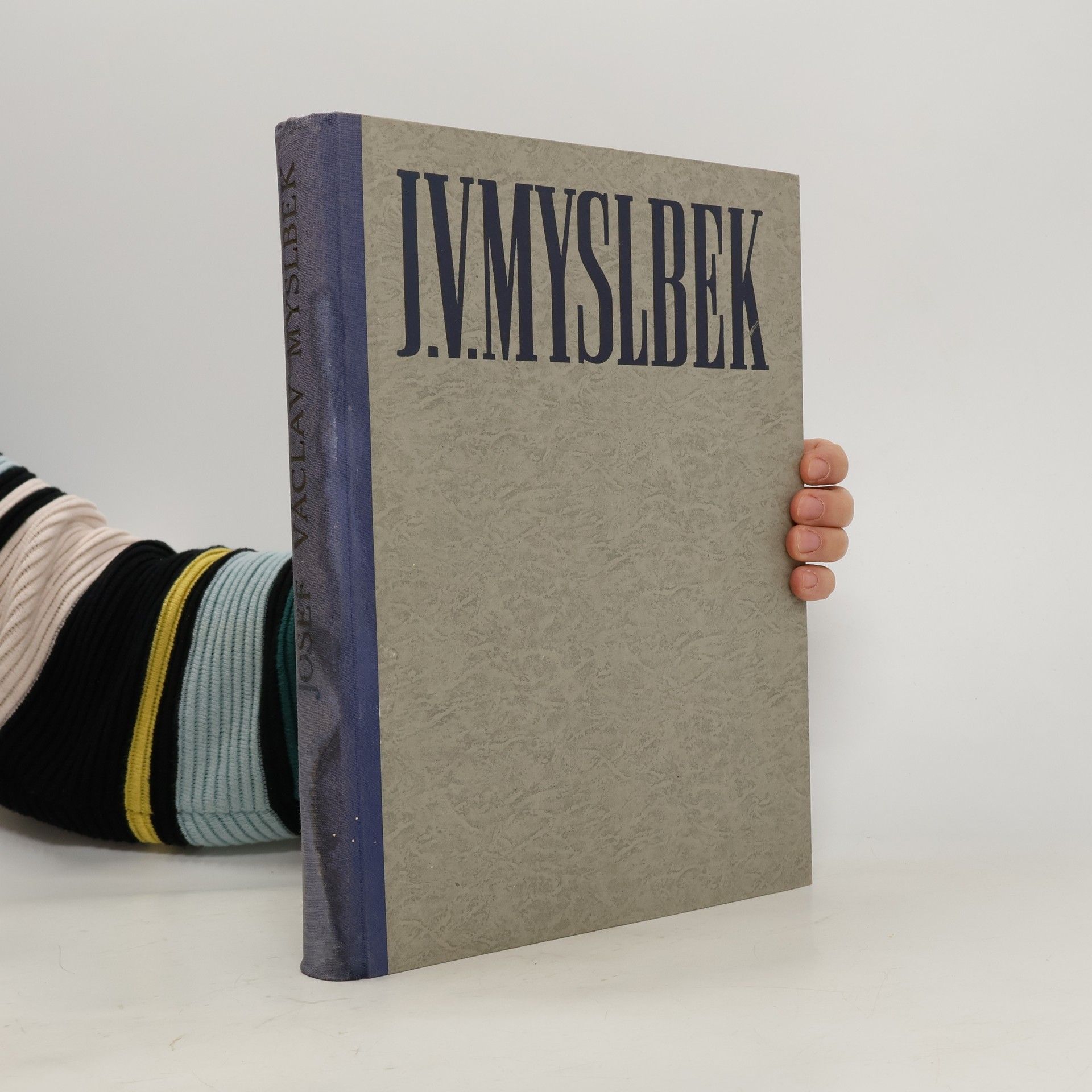 Vojtěch Volavka J. V. Myslbek