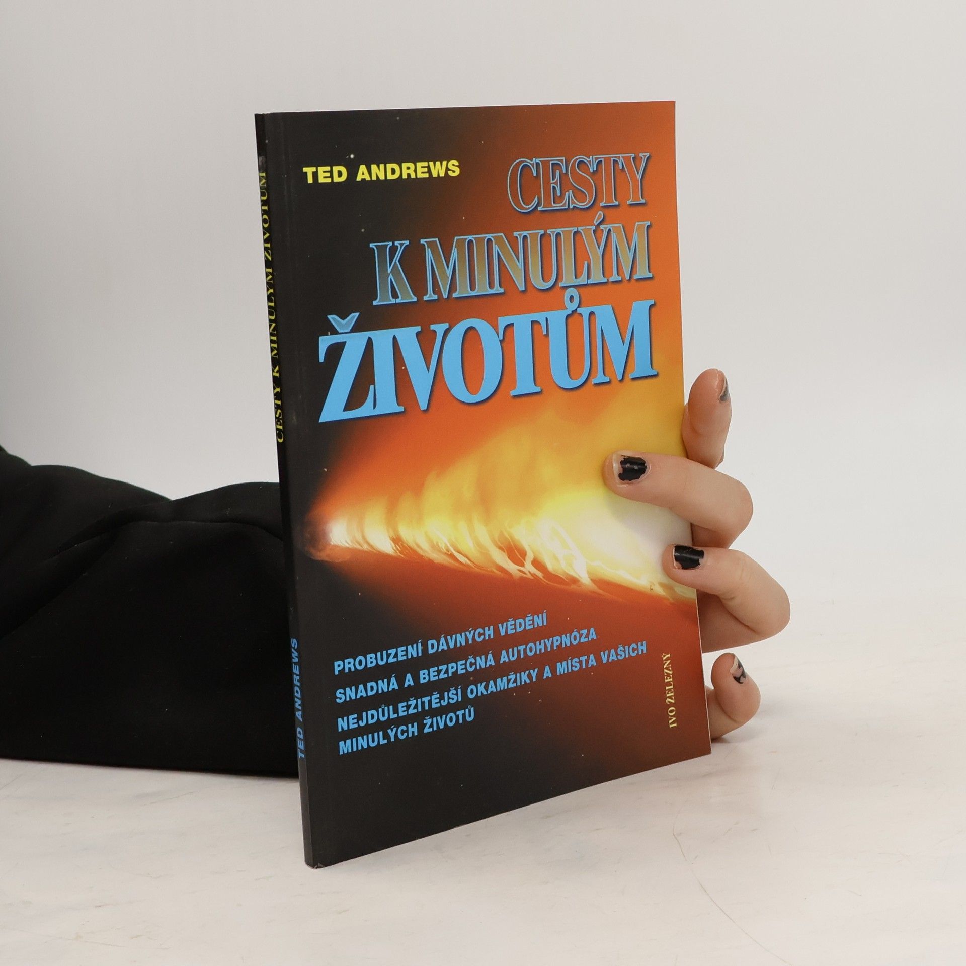 Cesty k minulým životům