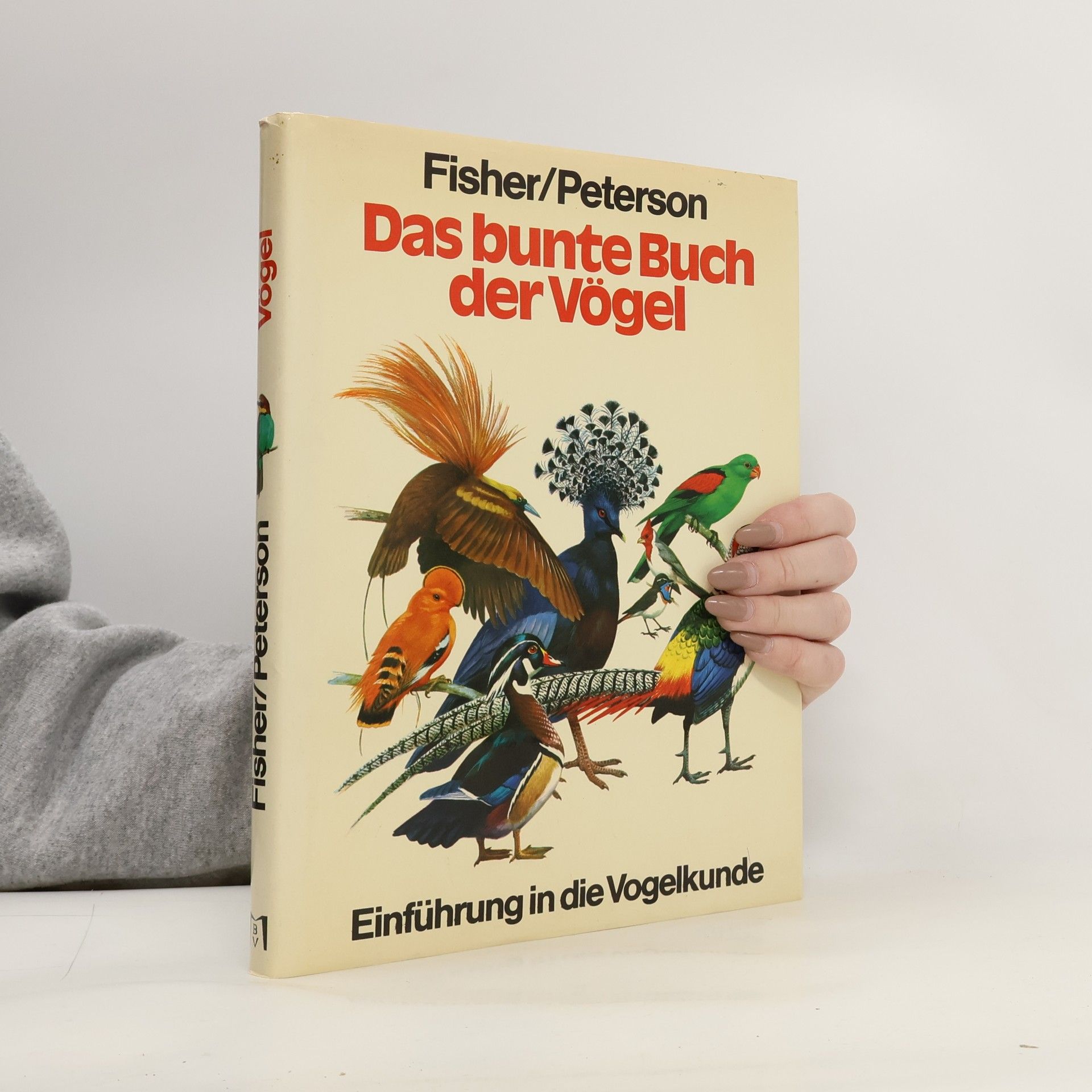 Autores varios Das bunte Buch der Vögel